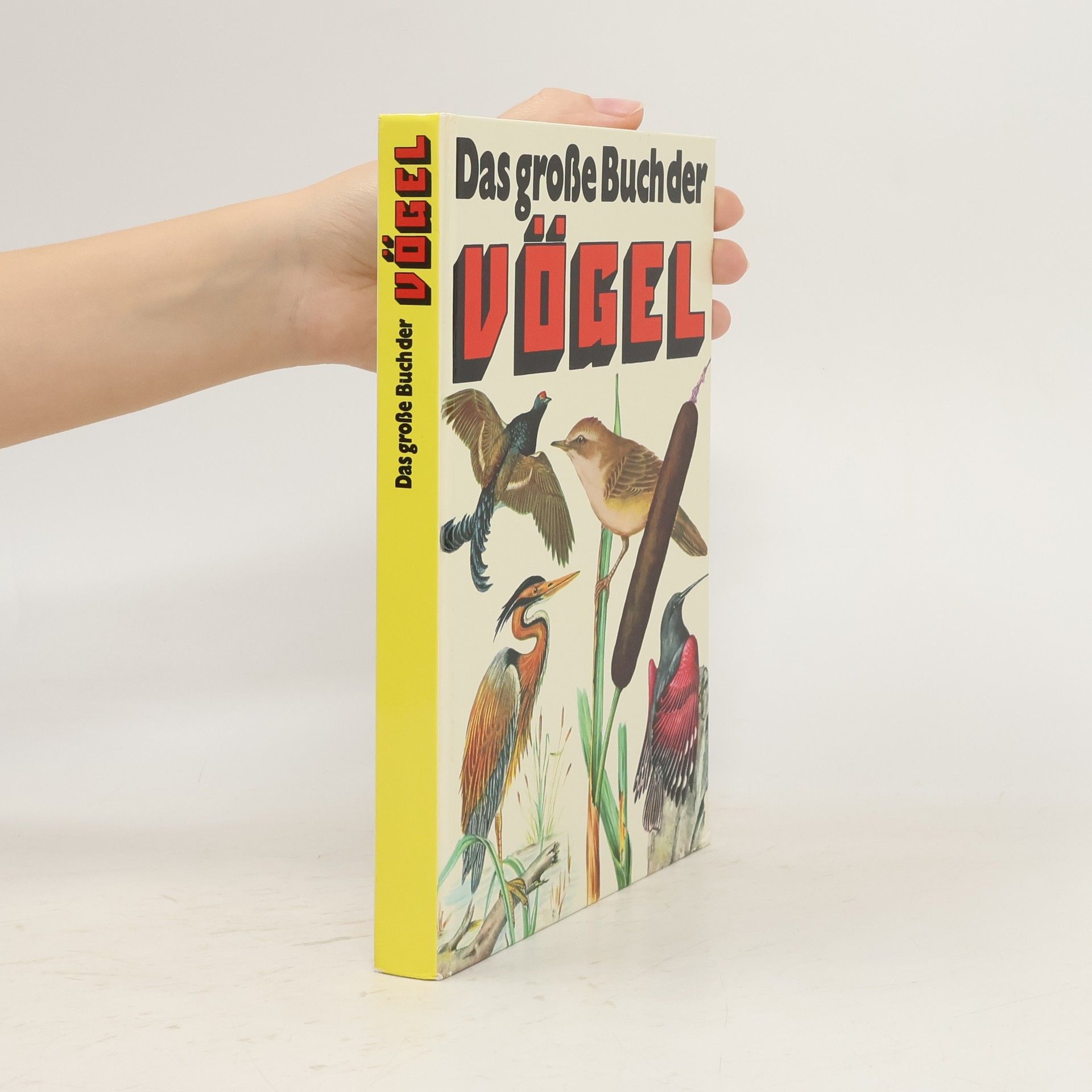 Kolektiv autorů Das große Buch der Vogel