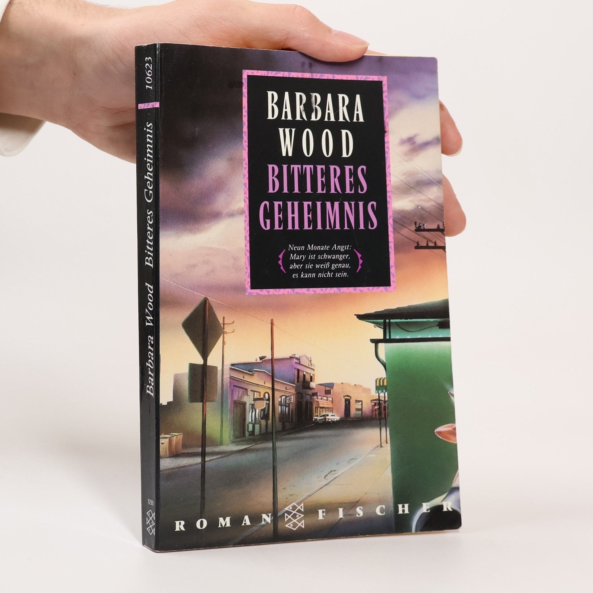 Barbara Wood Bitteres Geheimnis