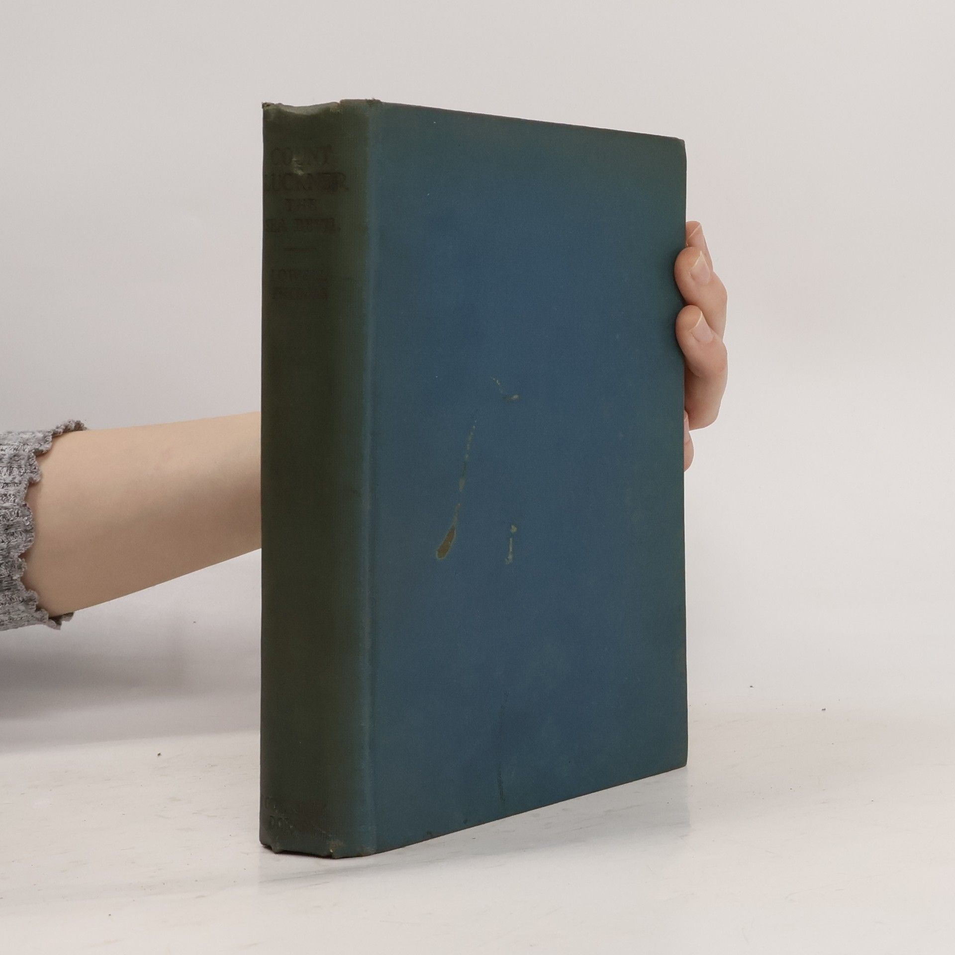 Count Luckner, the Sea Devil