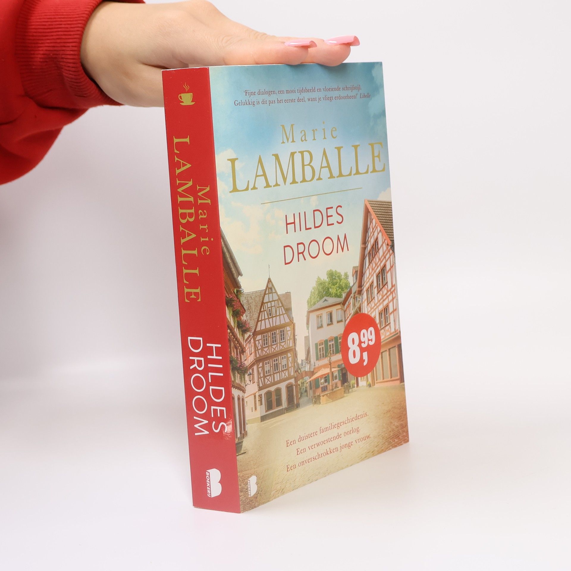 Marie Lamballe Hildes droom