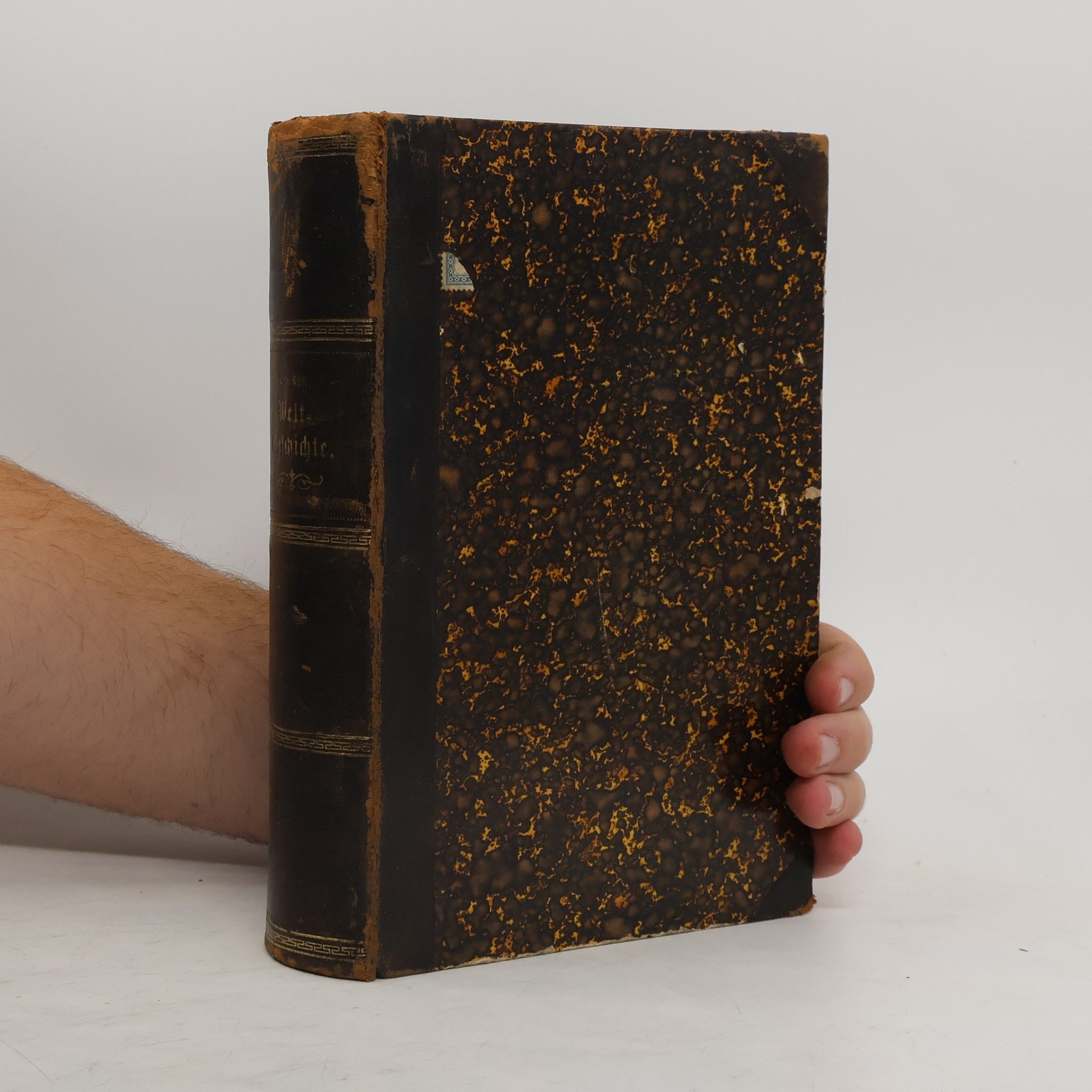 Allgemeine Geschichte Einzeldarstellungen