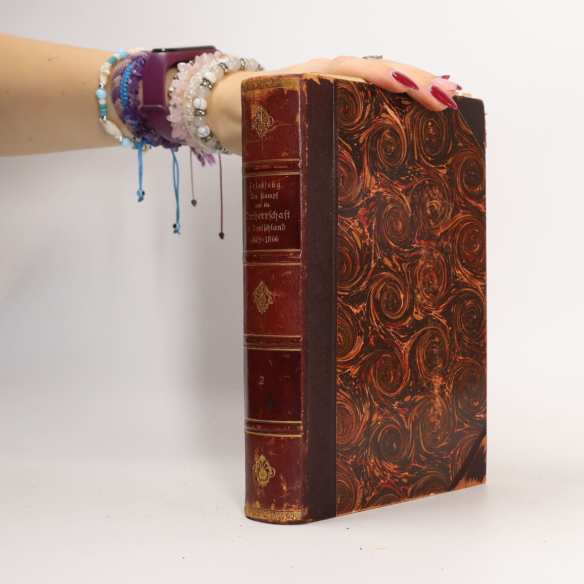 Heinrich Friedjung Der Kampf um die Vorherrschaft in Deutschland. Band 2