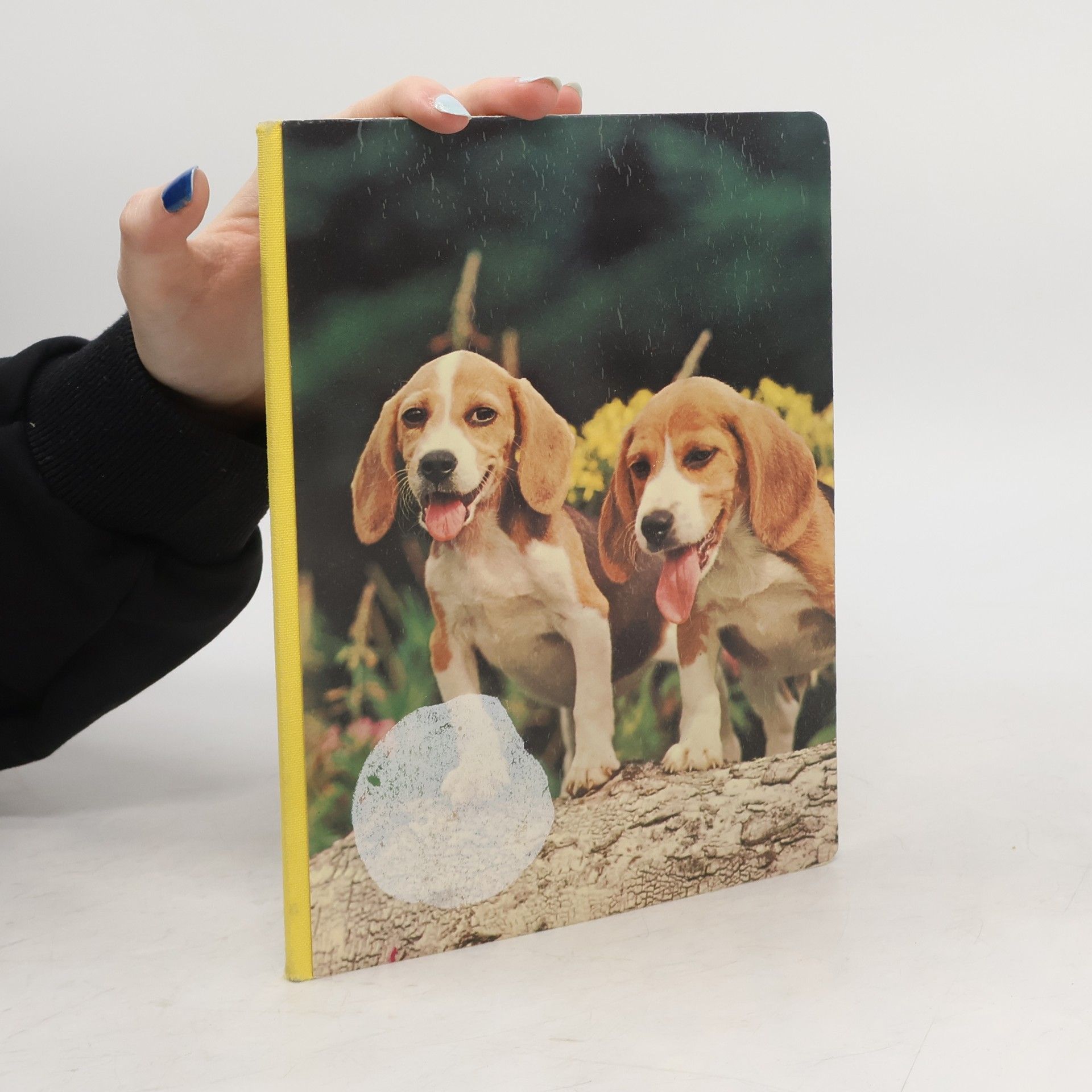 Collectif d'auteurs Mein erstes Tierbuch