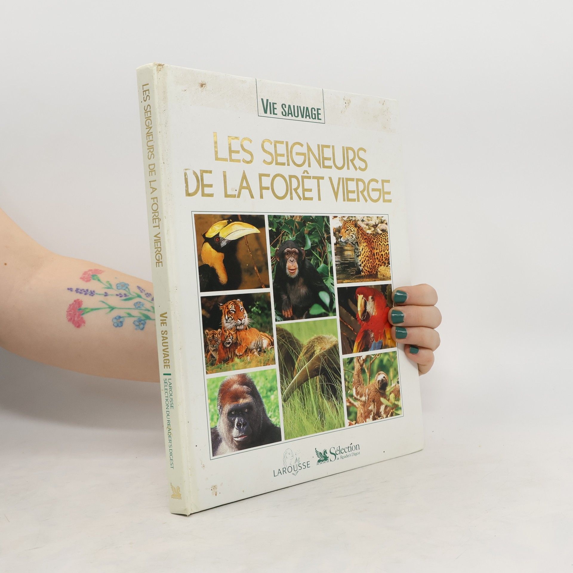 Christine Sourd Vie sauvage: Les seigneurs de la forêt vierge