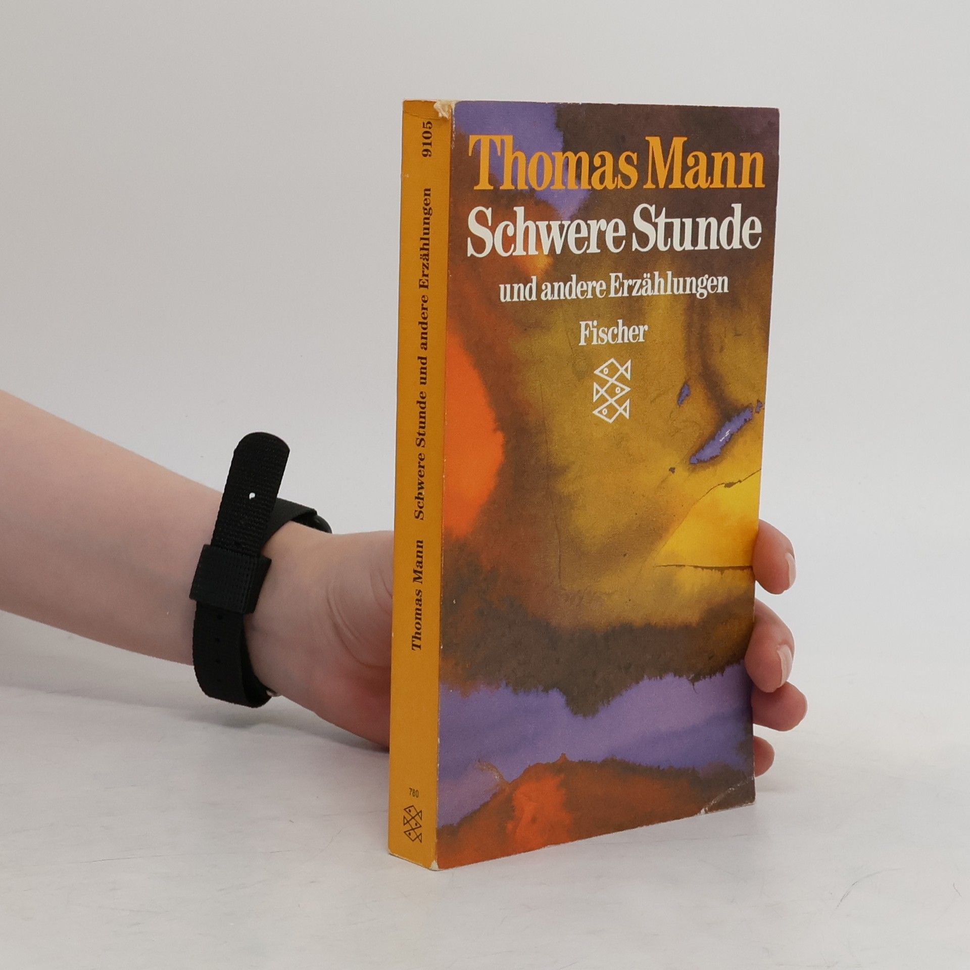 Thomas Mann Schwere Stunde und andere Erzählungen