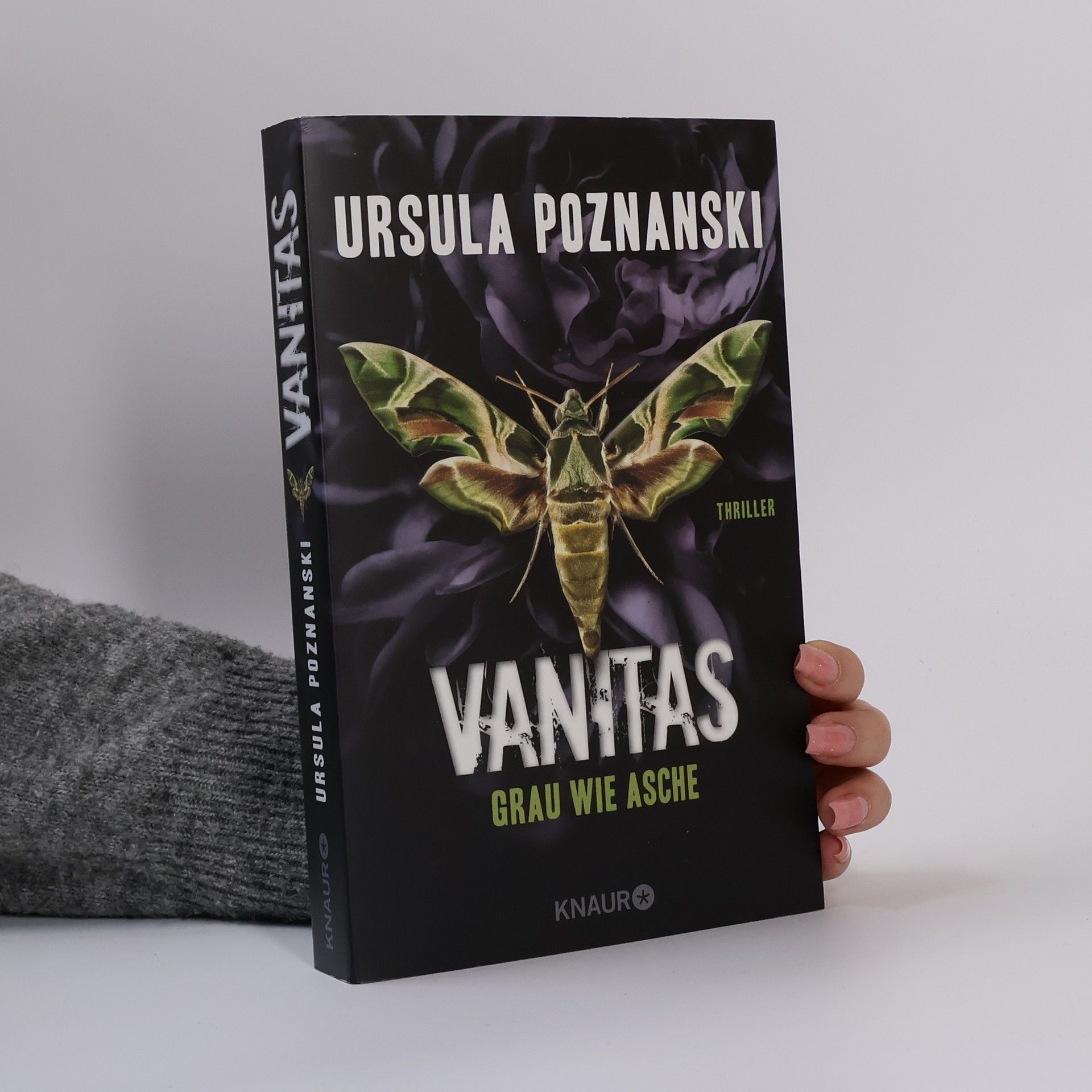 Ursula Poznanski Vanitas. Grau wie Asche