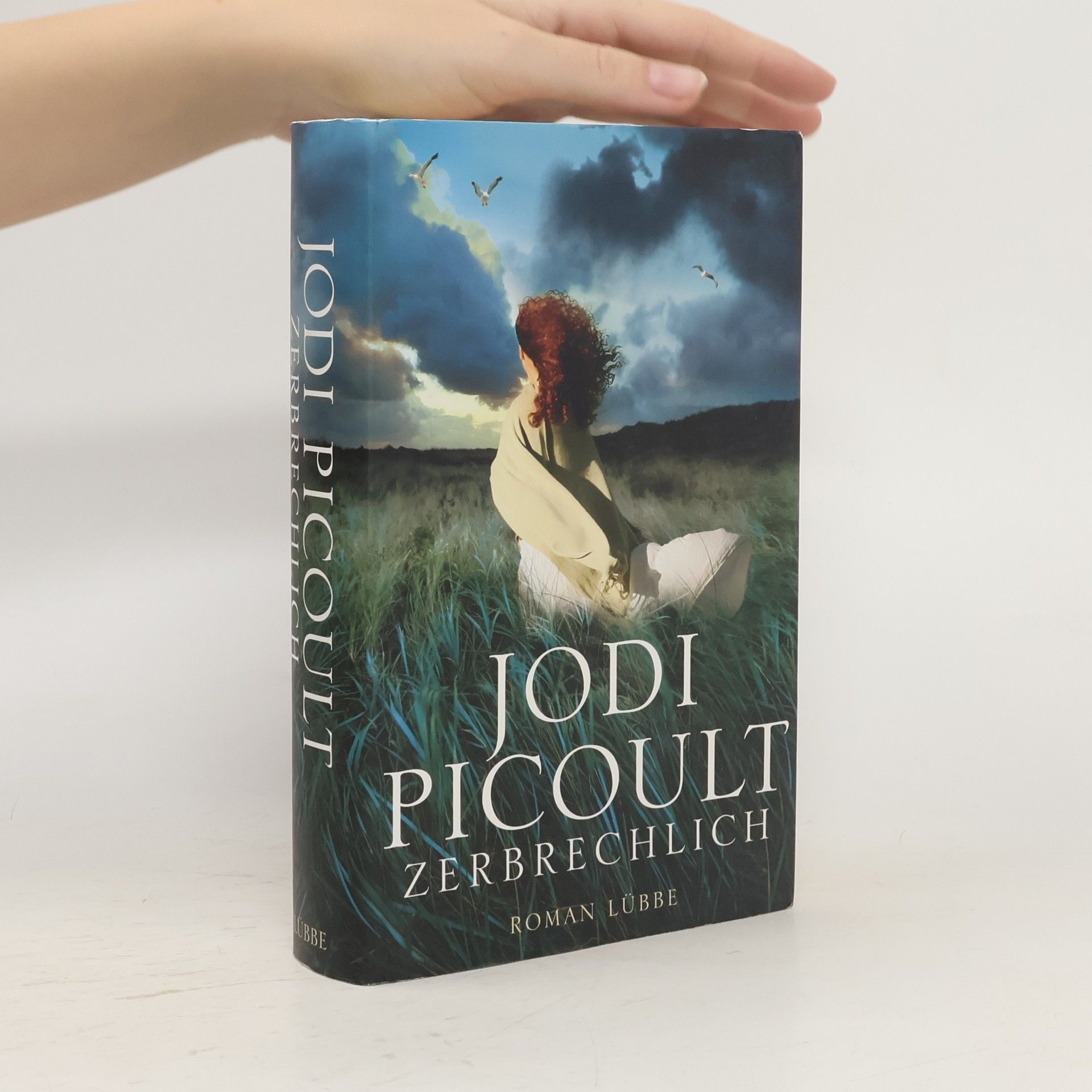 Jodi Picoult Zerbrechlich
