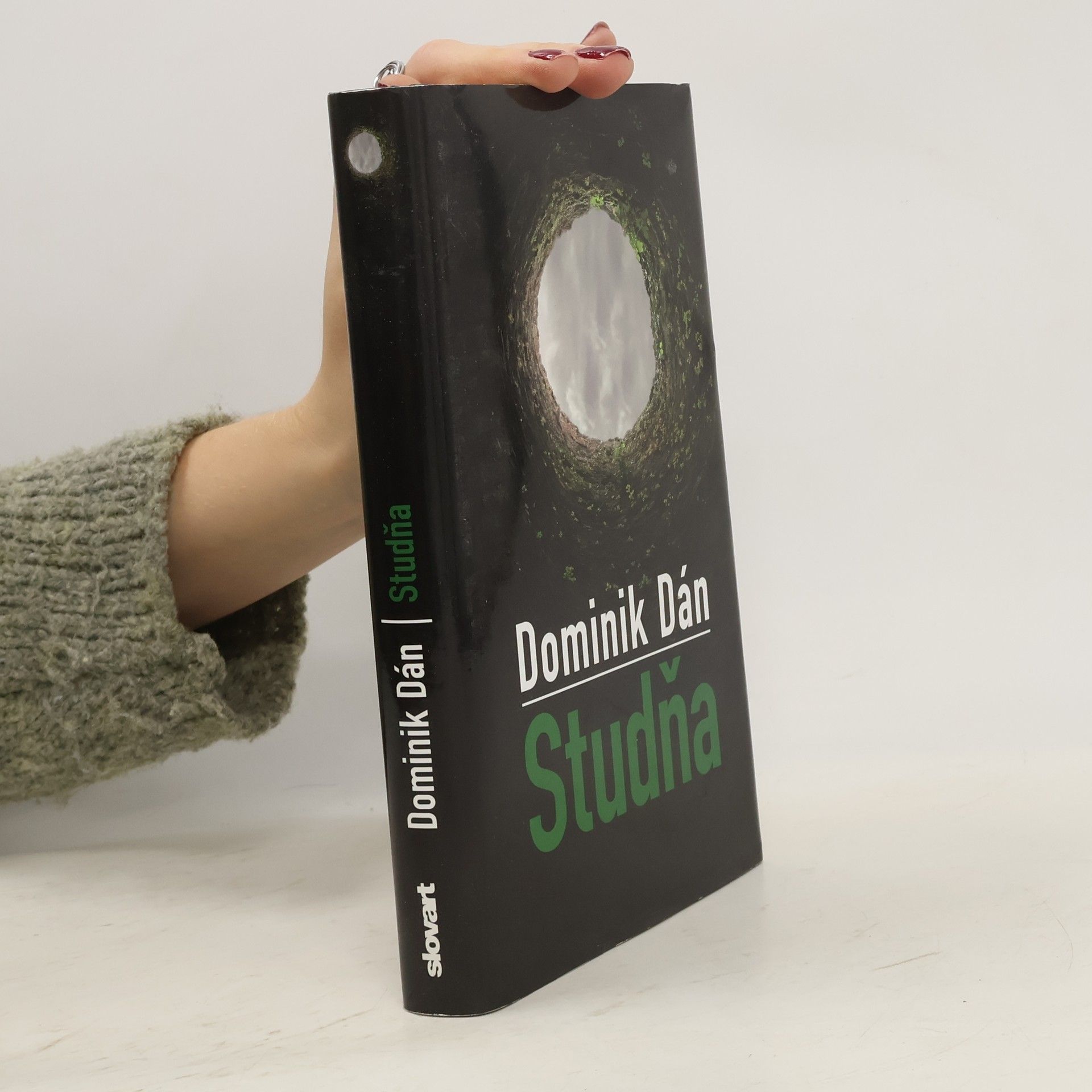 Dominik Dán Studňa