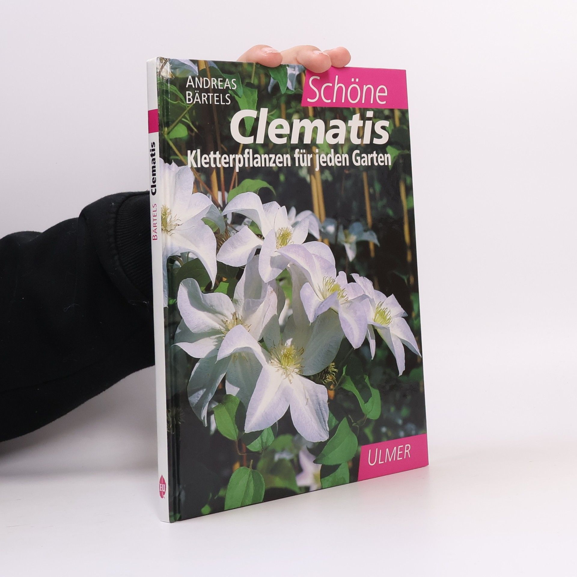 Andreas Baertels Schöne Clematis