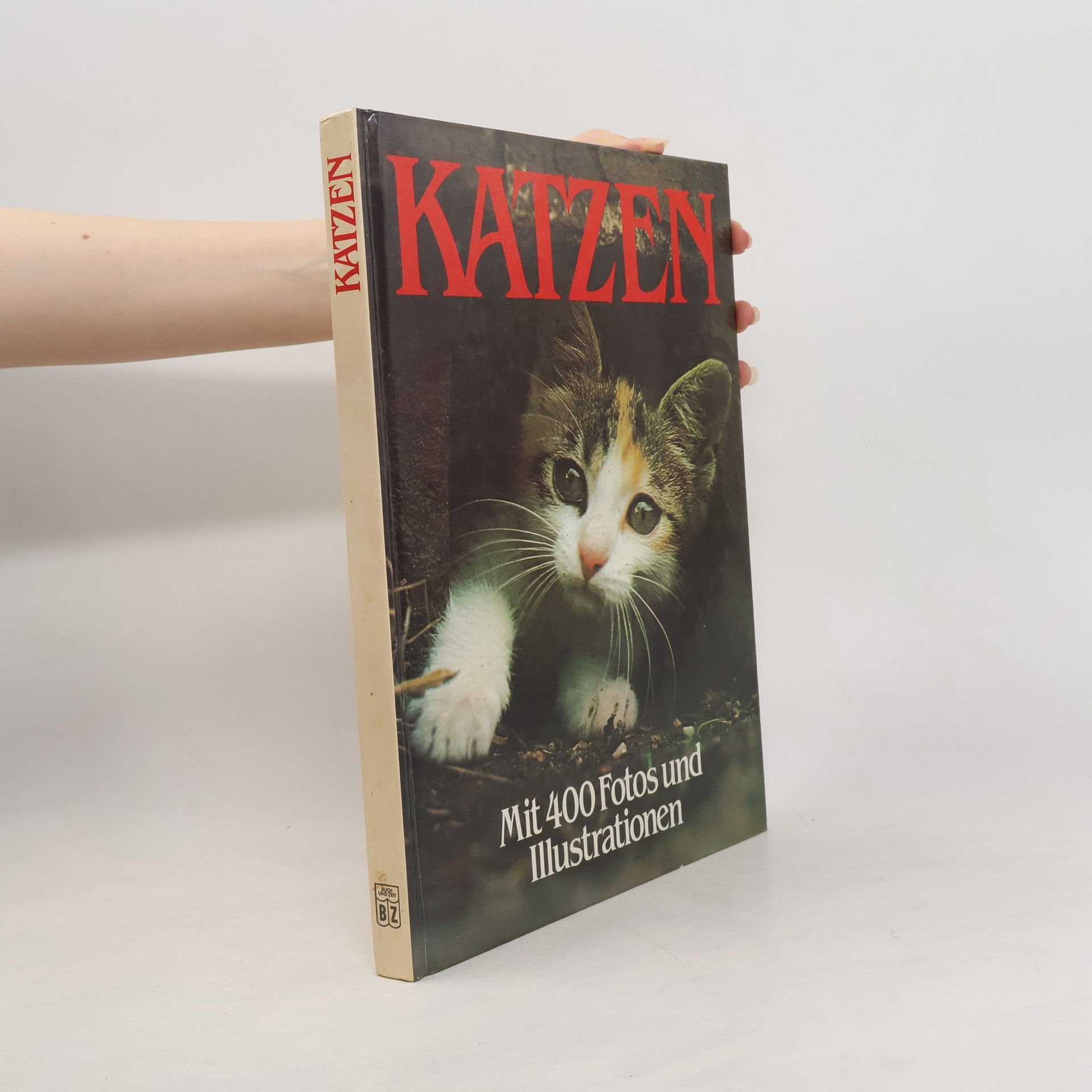 AA.VV. Katzen