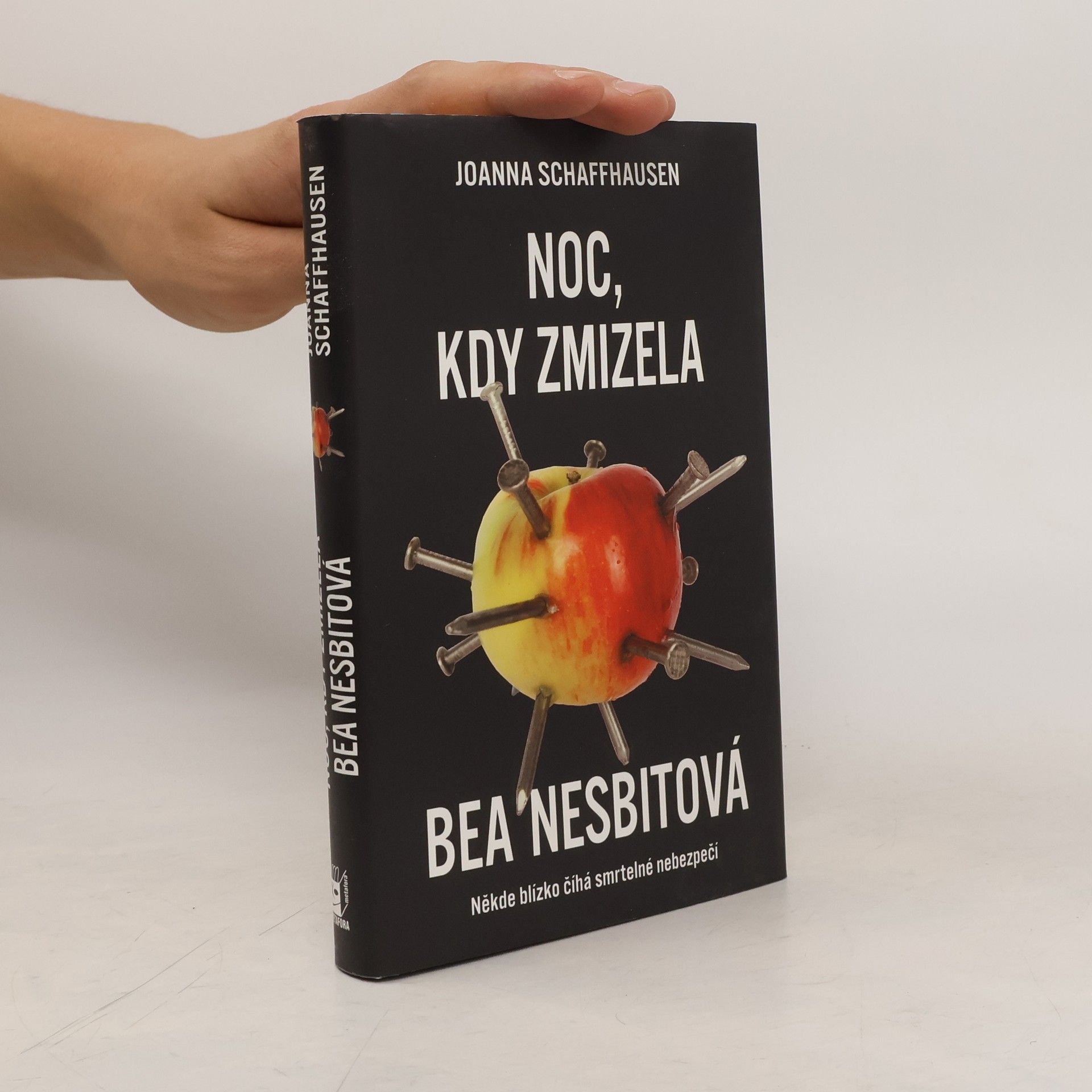 Joanna Schaffhausen Noc, kdy zmizela Bea Nesbitová