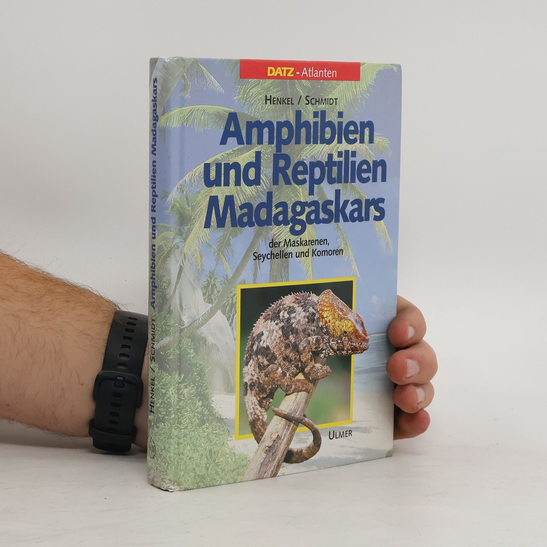 Friedrich Hofmann Amphibien und Reptilien Madagaskars, der Maskarenen, Seychellen und Komoren