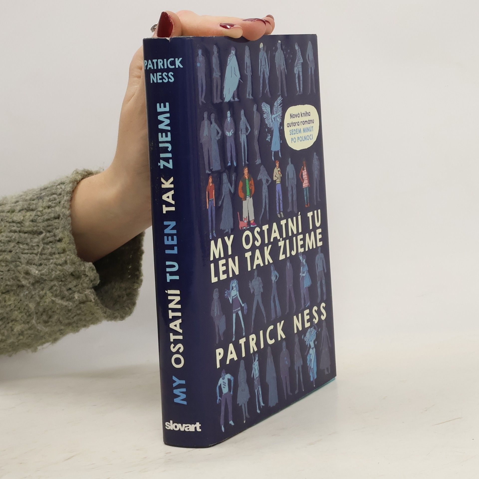 Patrick Ness My ostatní tu len tak žijeme