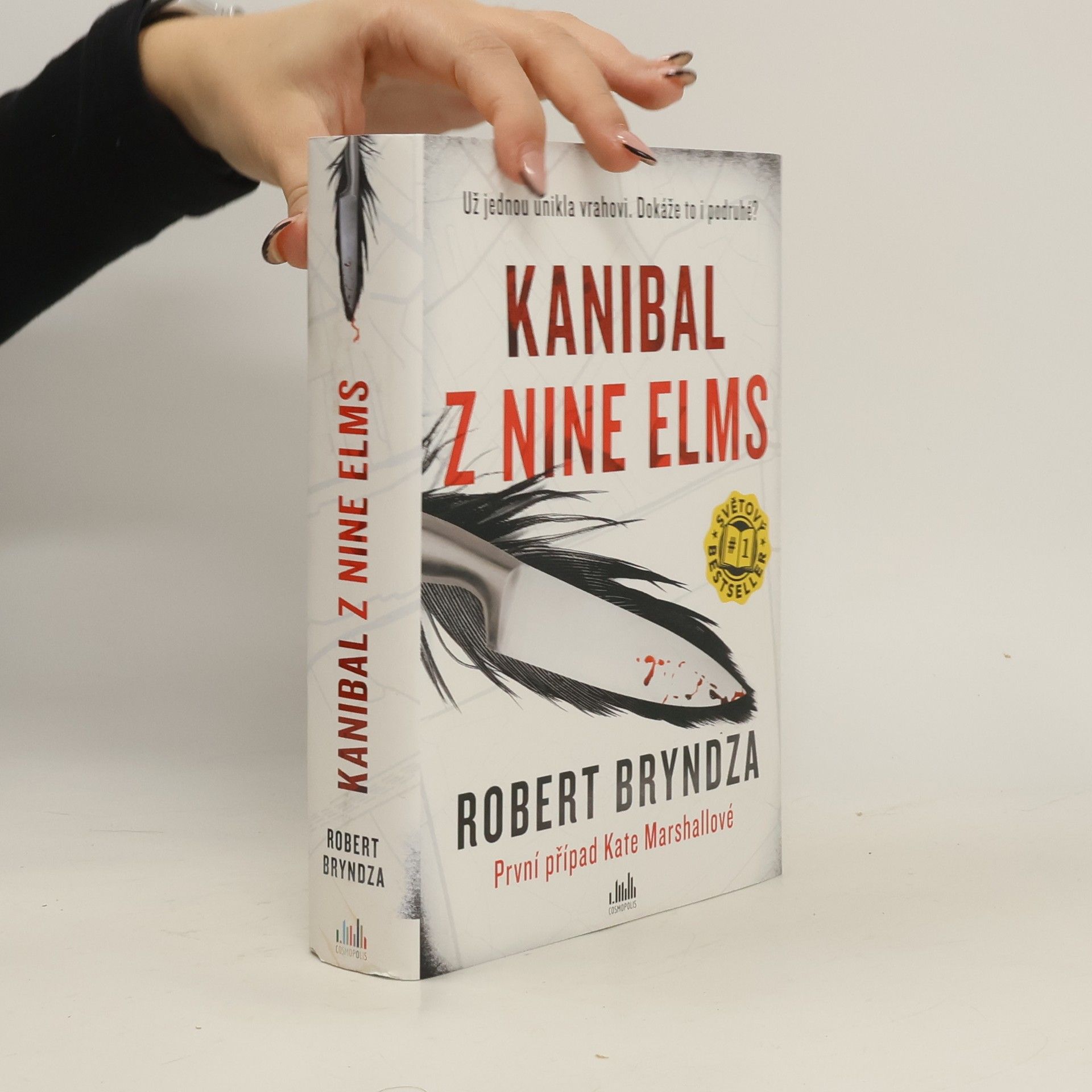 Robert Bryndza Kanibal z Nine Elms