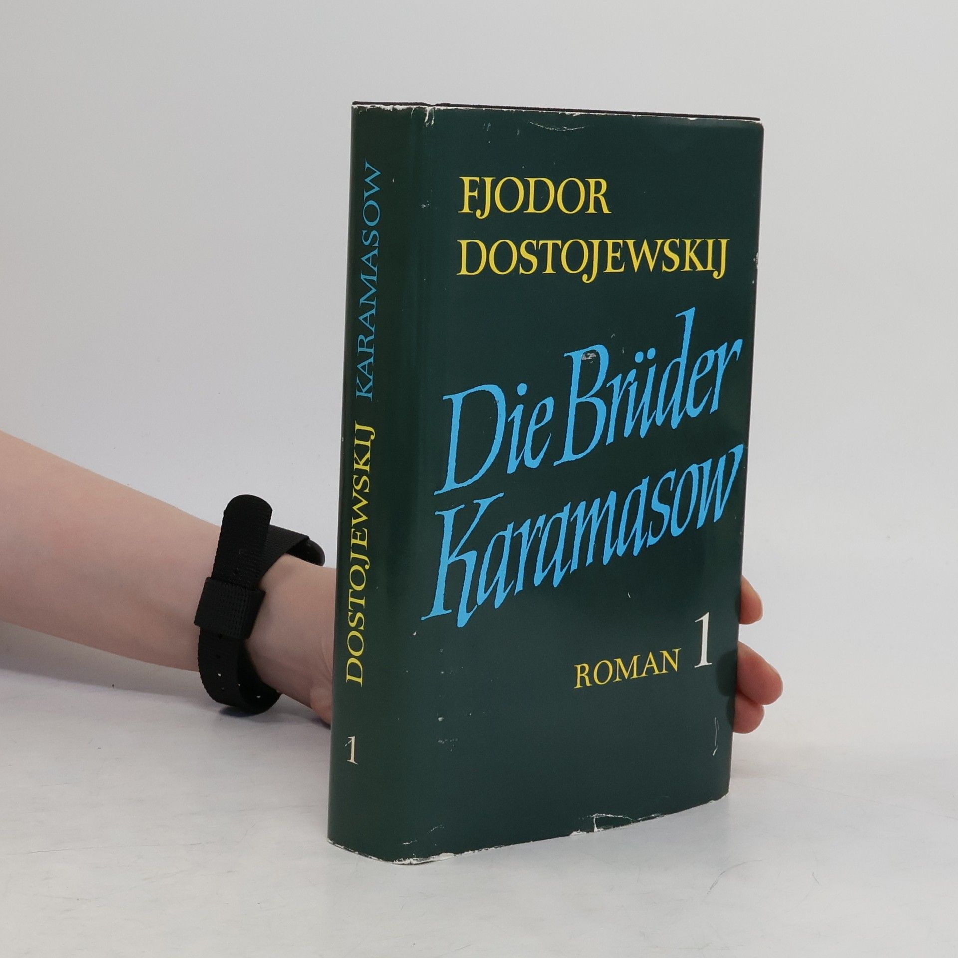 Fjodor Michajlovič Dostojevskij Die Brüder Karamasow 1