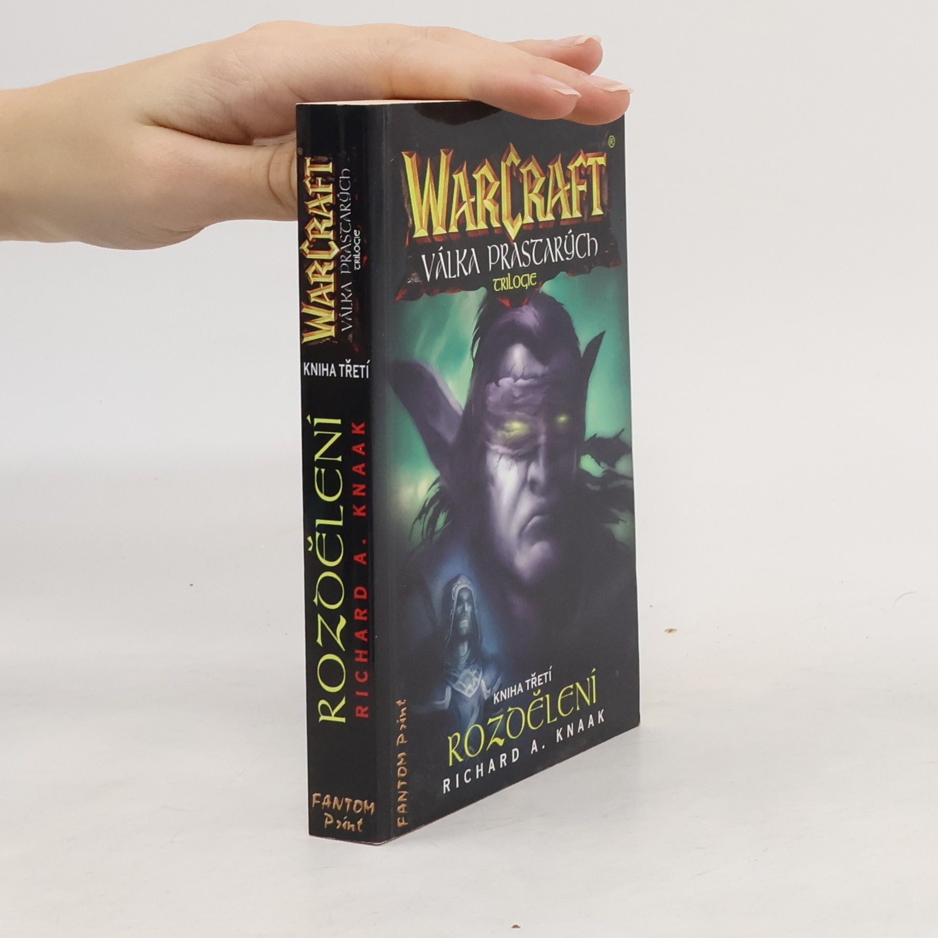 Richard A. Knaak WarCraft. Válka Prastarých 3. Rozdělení