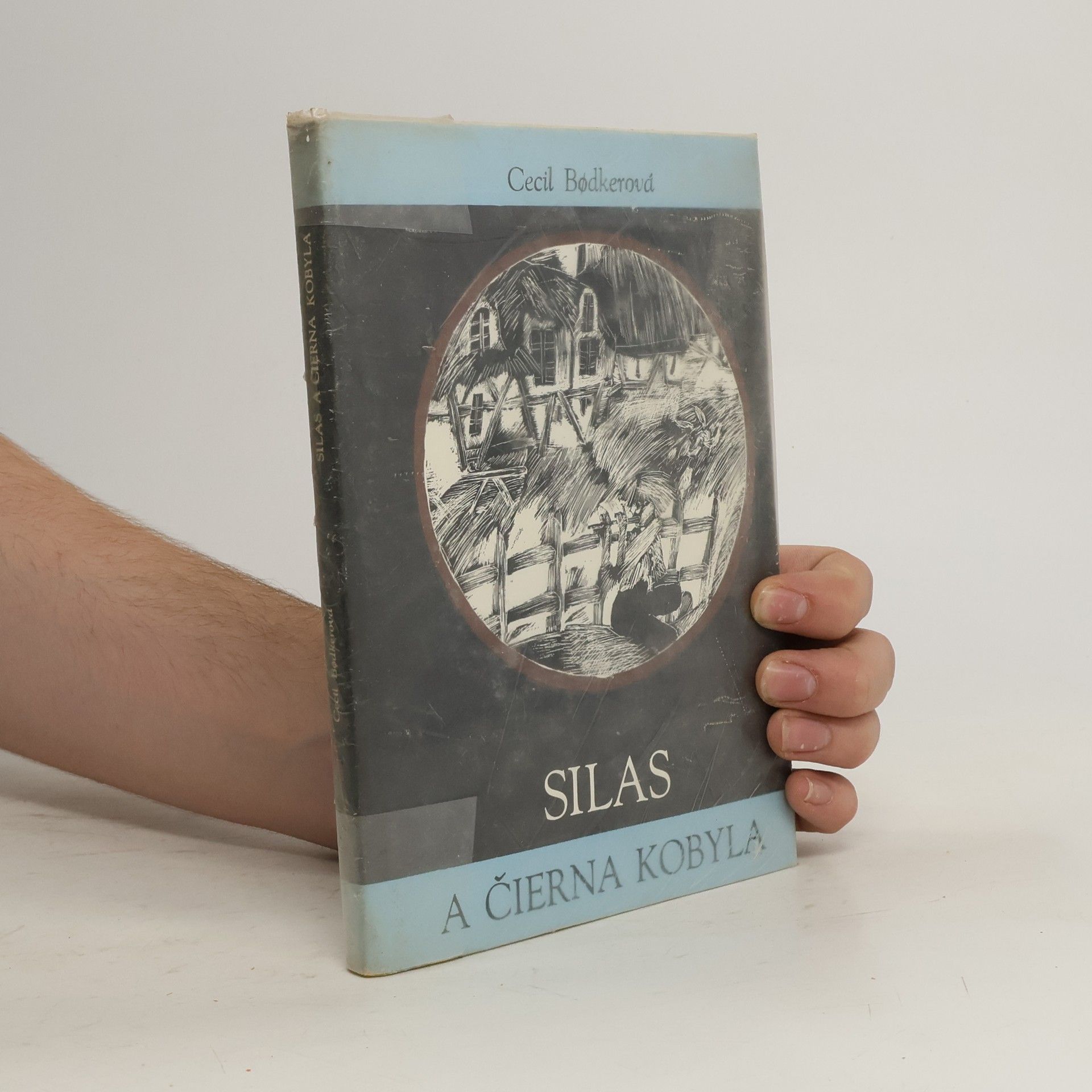 Cecil Bødker Silas a čierna kobyla