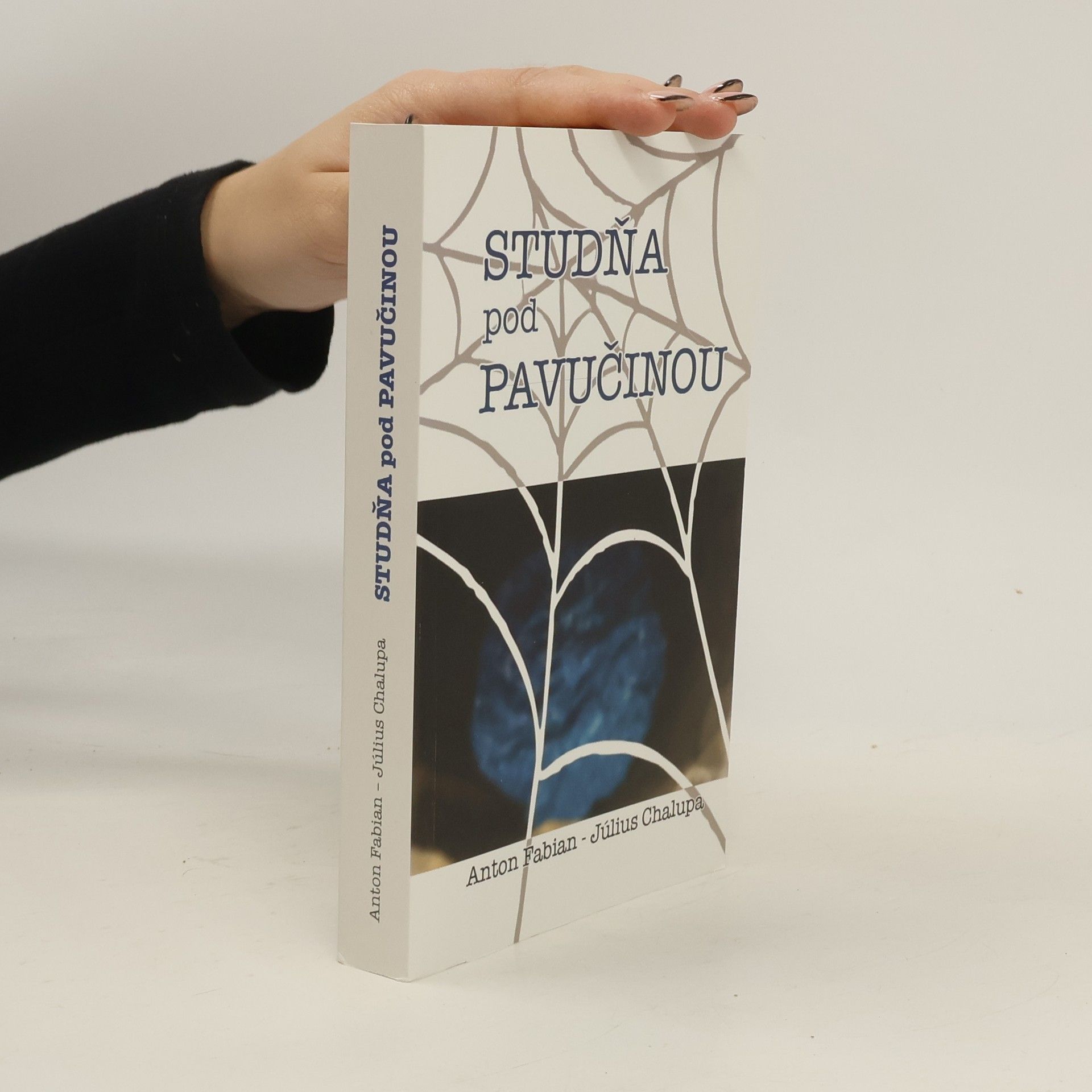 Studňa pod pavučinou