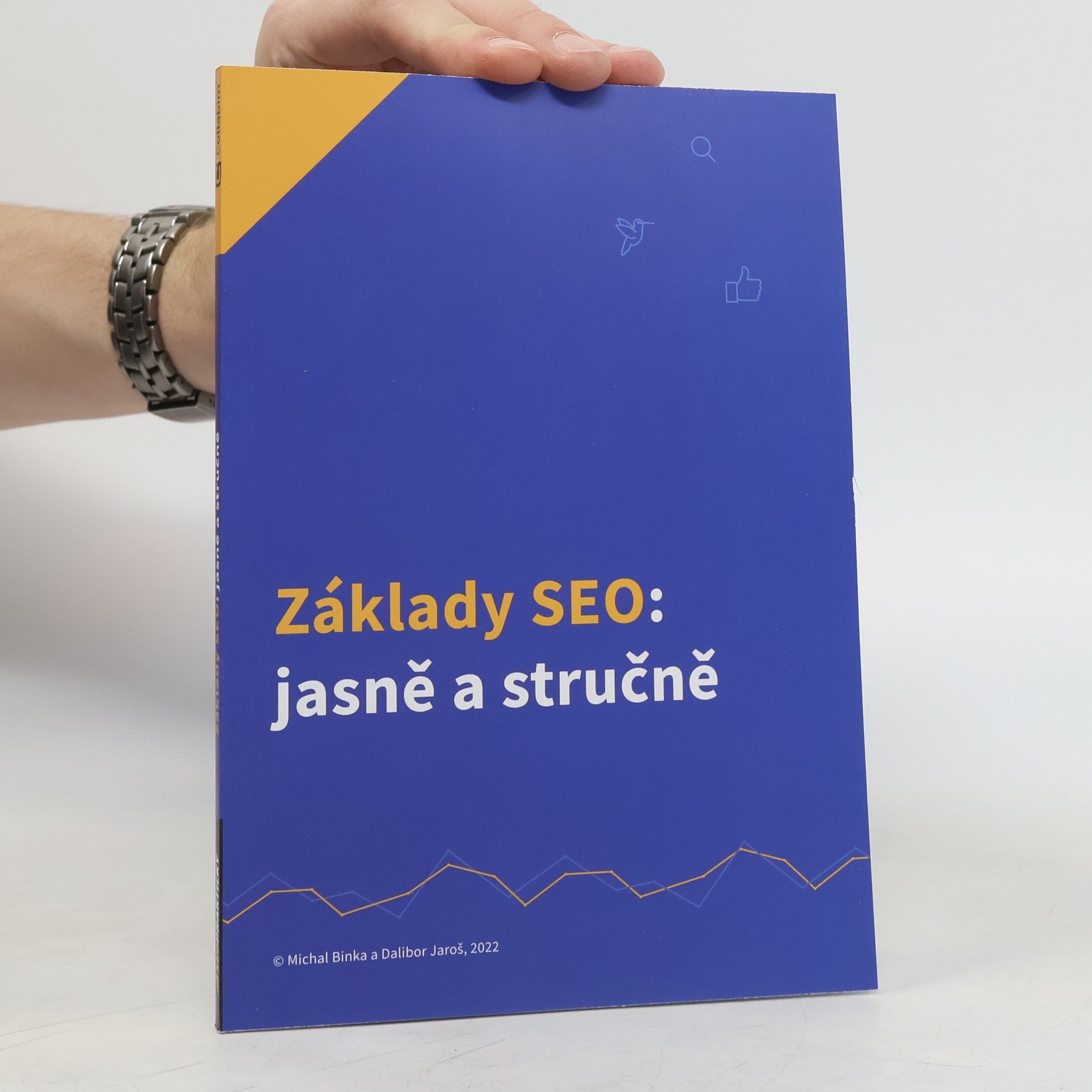 Michal Binka Základy SEO: jasně a stručně