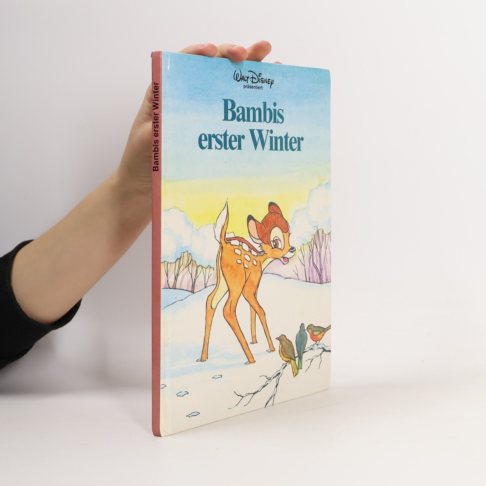 Autorenkollektiv Bambis erster Winter