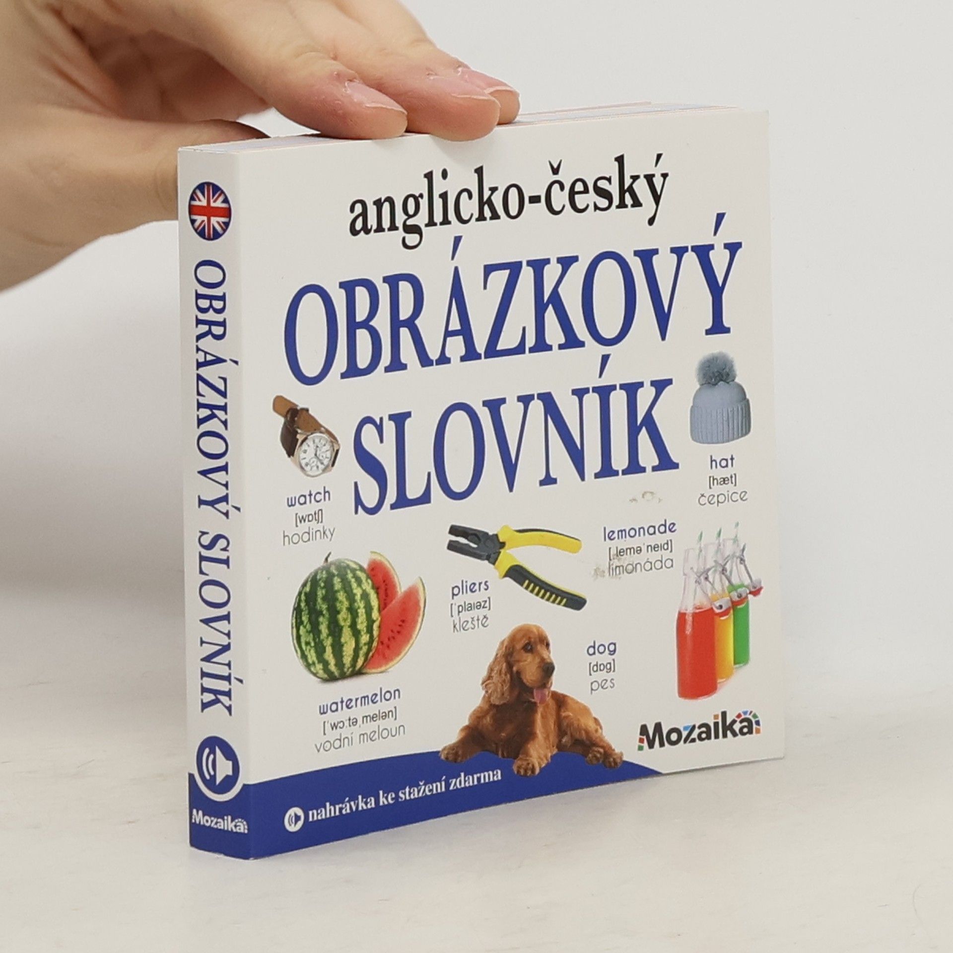 Collectif d'auteurs Anglicko-český obrázkový slovník Obrázkový slovník
