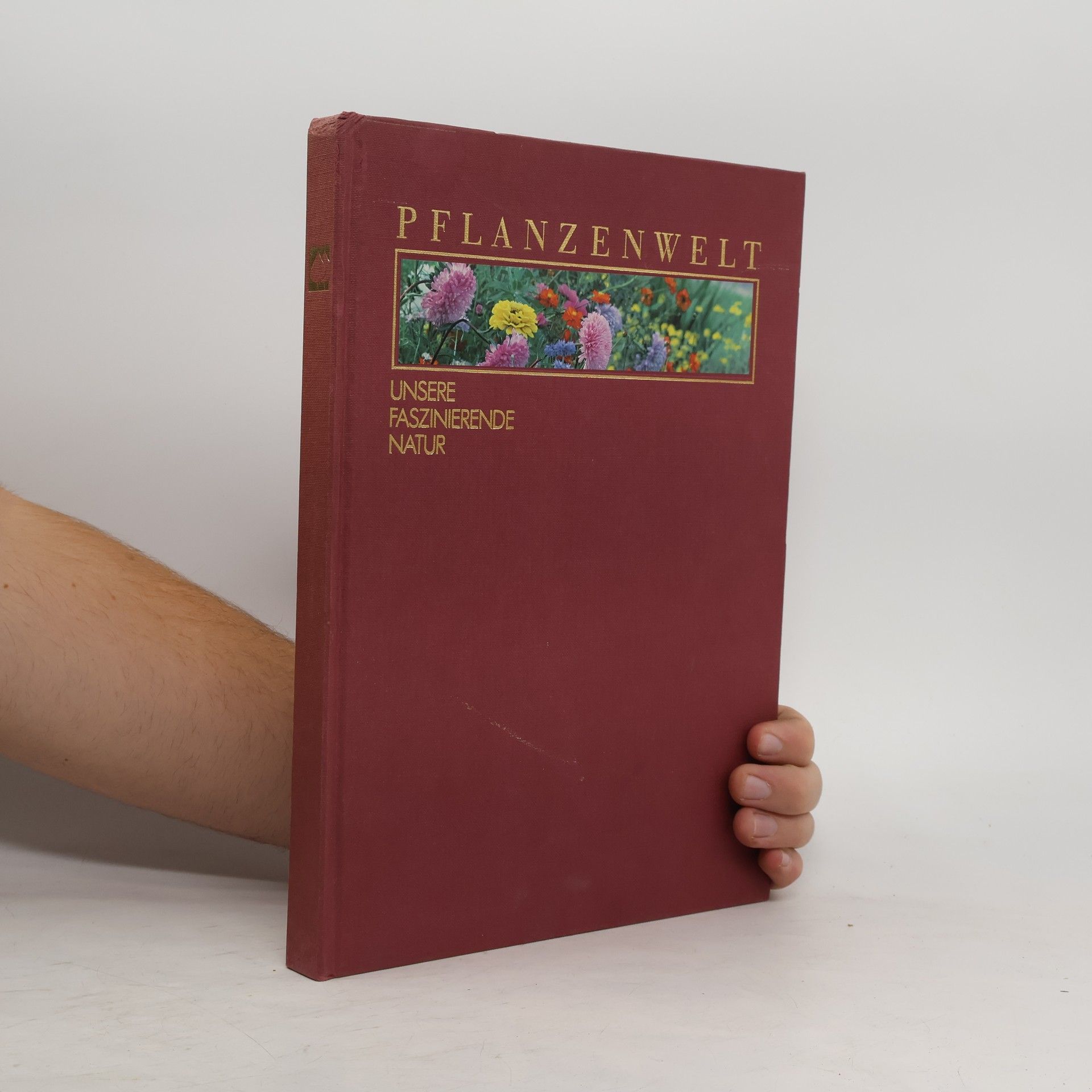 Collectif d'auteurs Pflanzenwelt. Unsere Faszinierende natur.