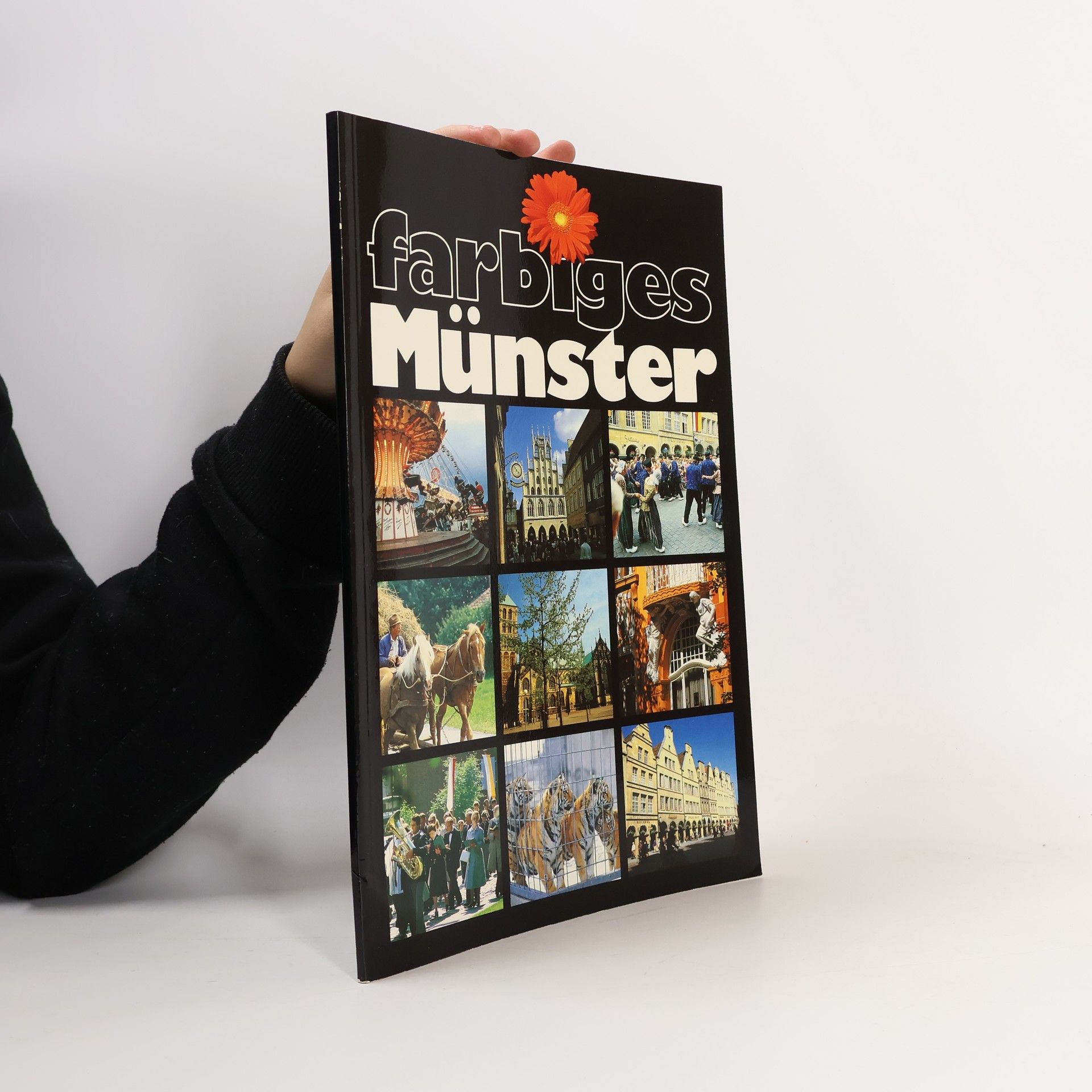 Reinhold Schmelter Farbiges Münster