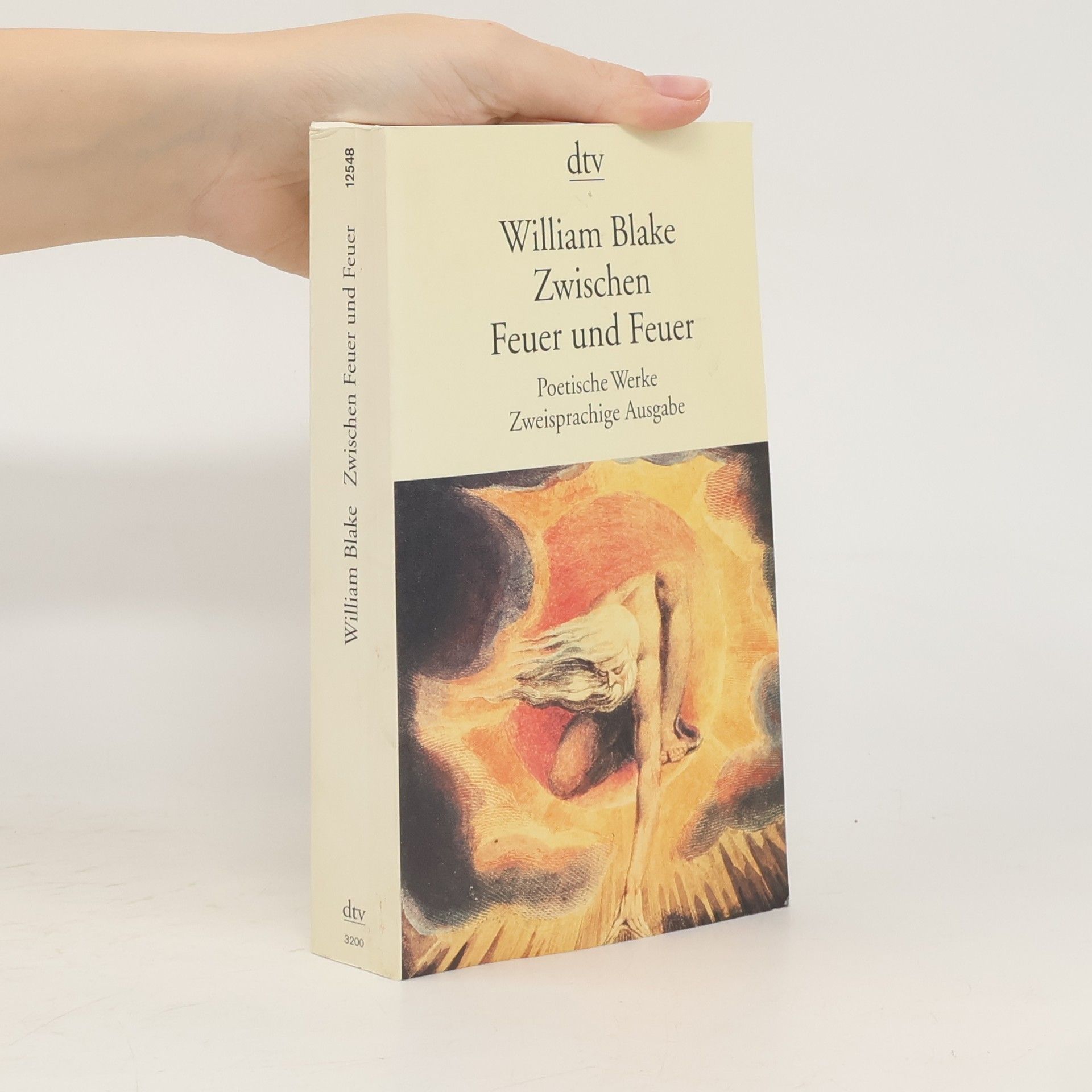 William Blake Zwischen Feuer und Feuer