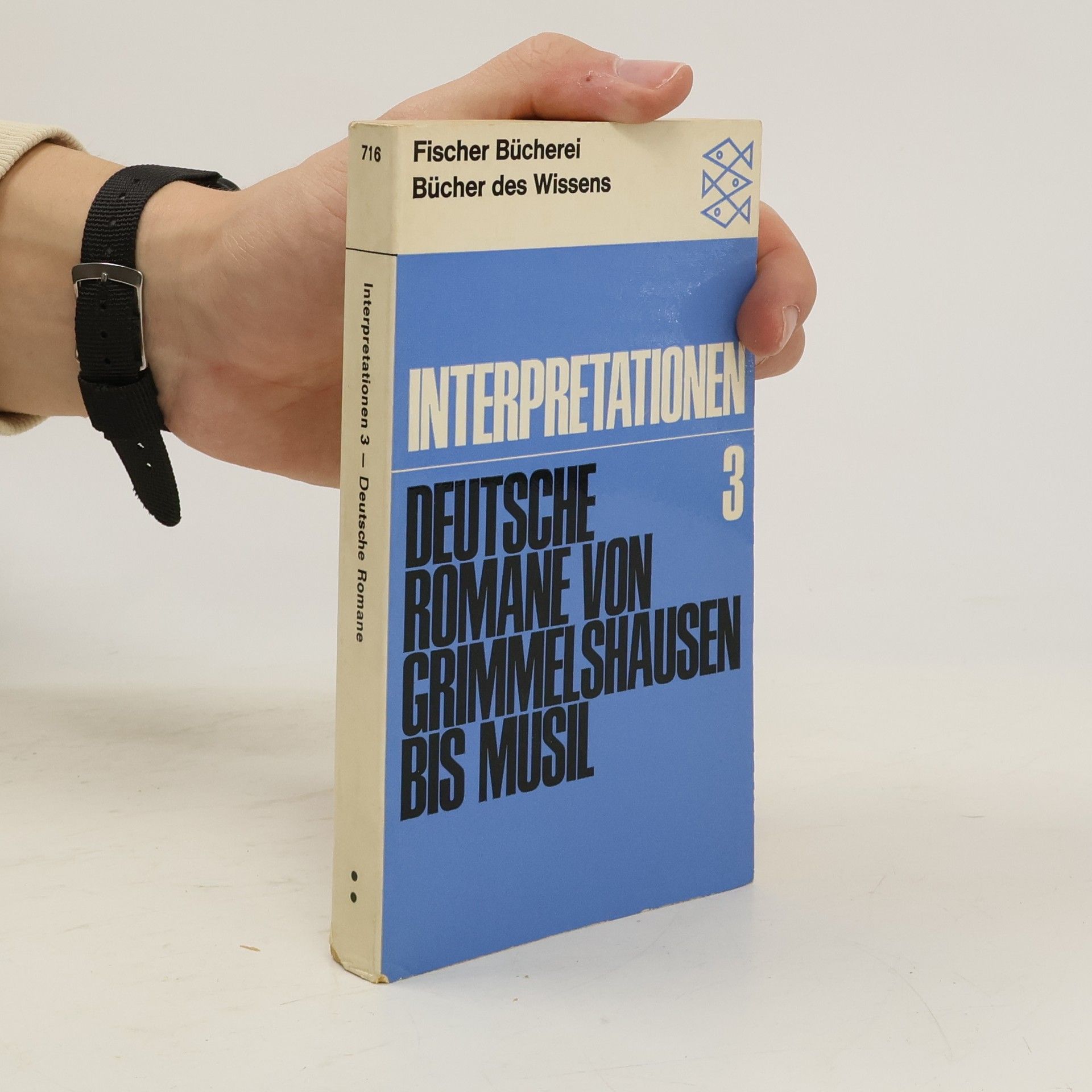 Interpretationen 3. Deutsche Romane von Grimmelshausen bis Musil