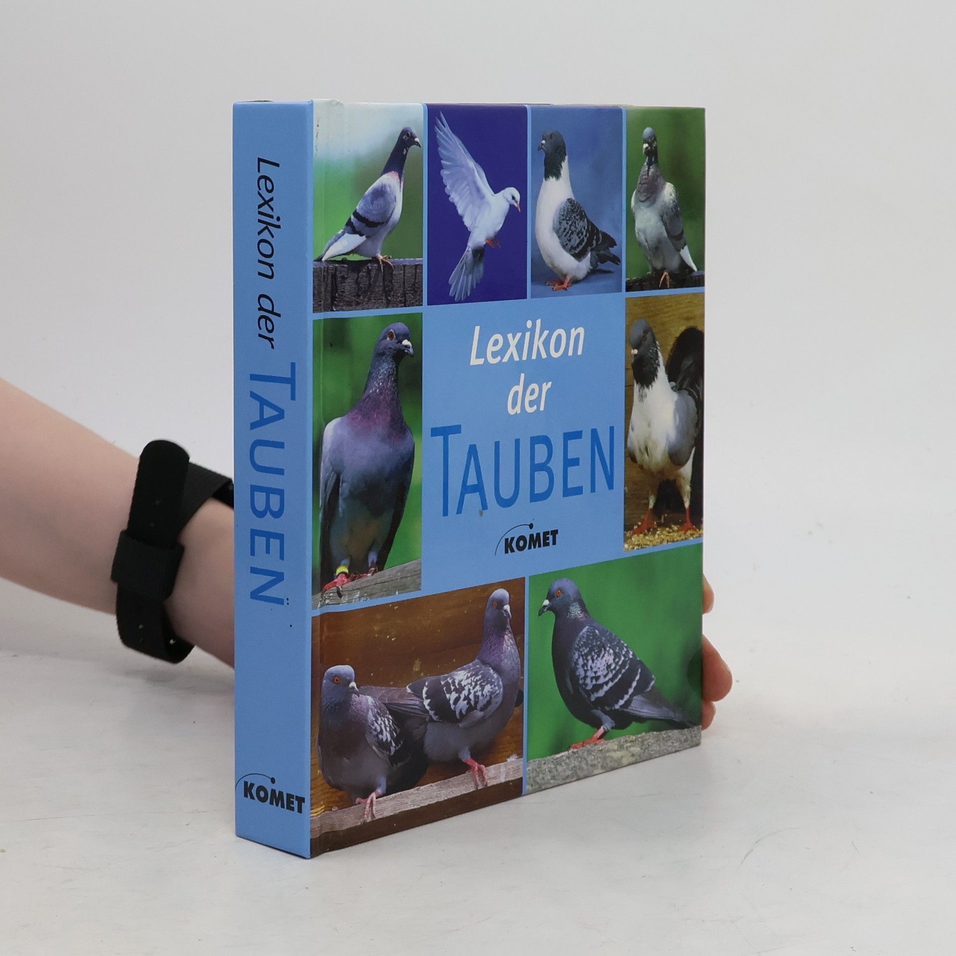 Lexikon der Tauben