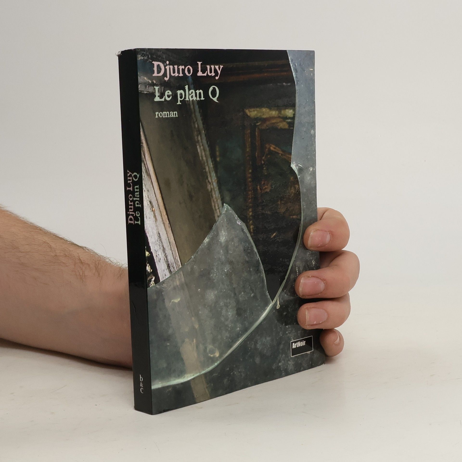 Djuro Luy Le plan Q