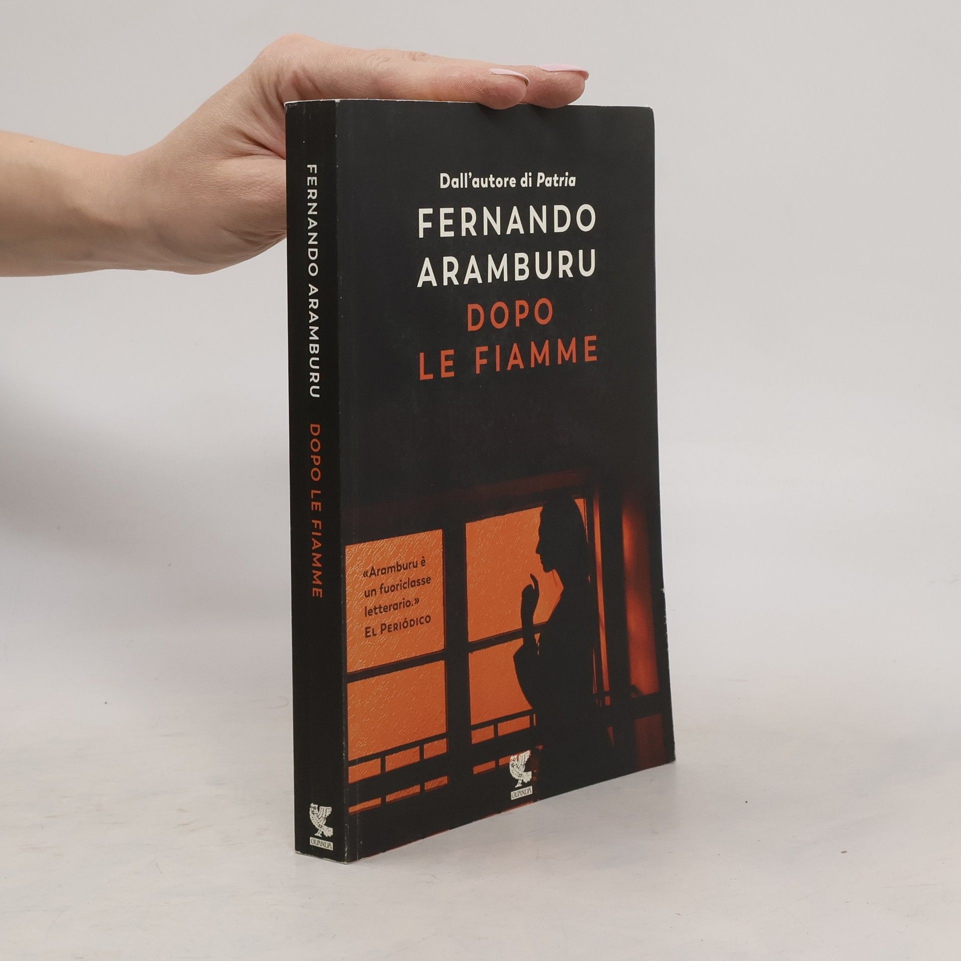 Fernando Aramburu Dopo le fiamme