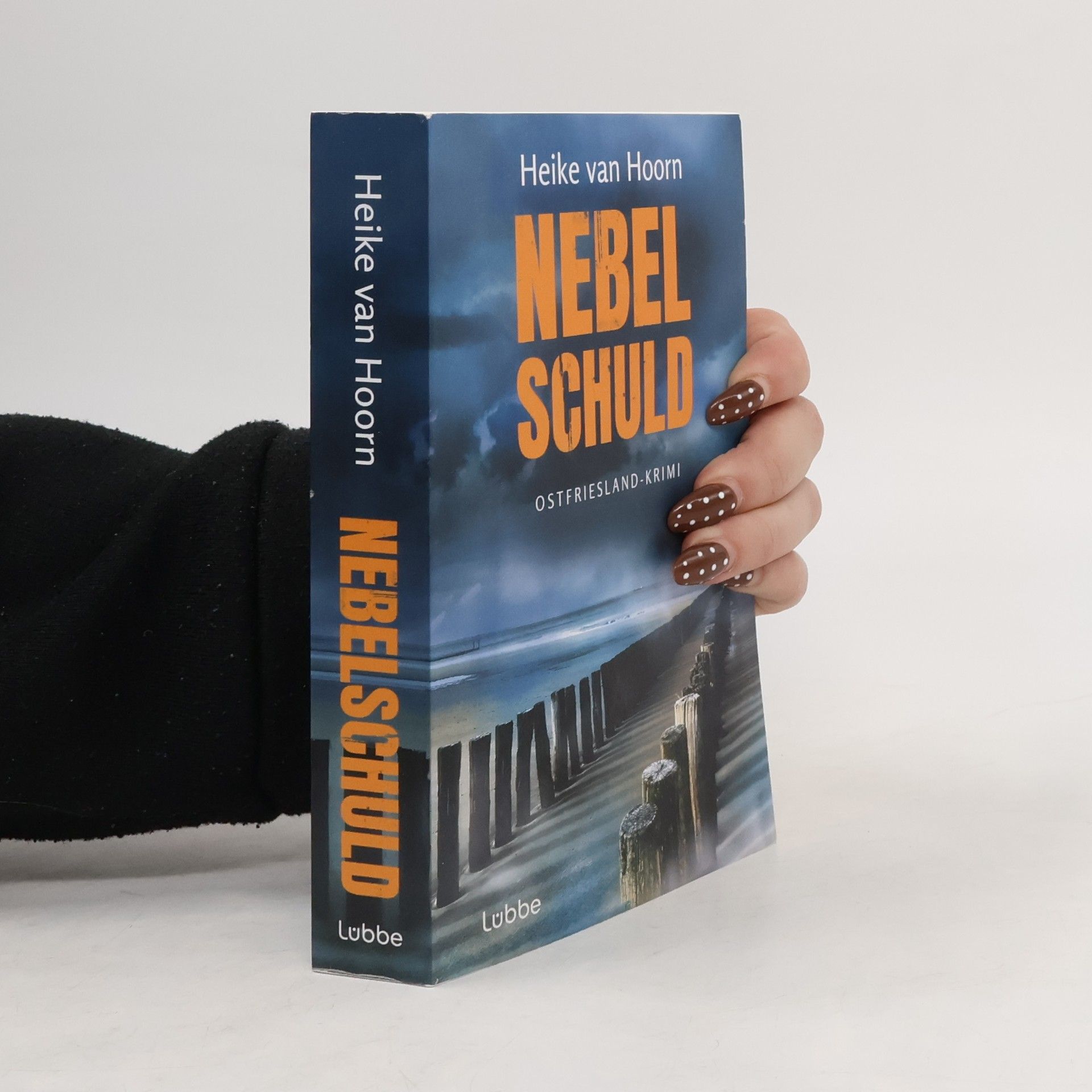 Heike van Hoorn Nebelschuld