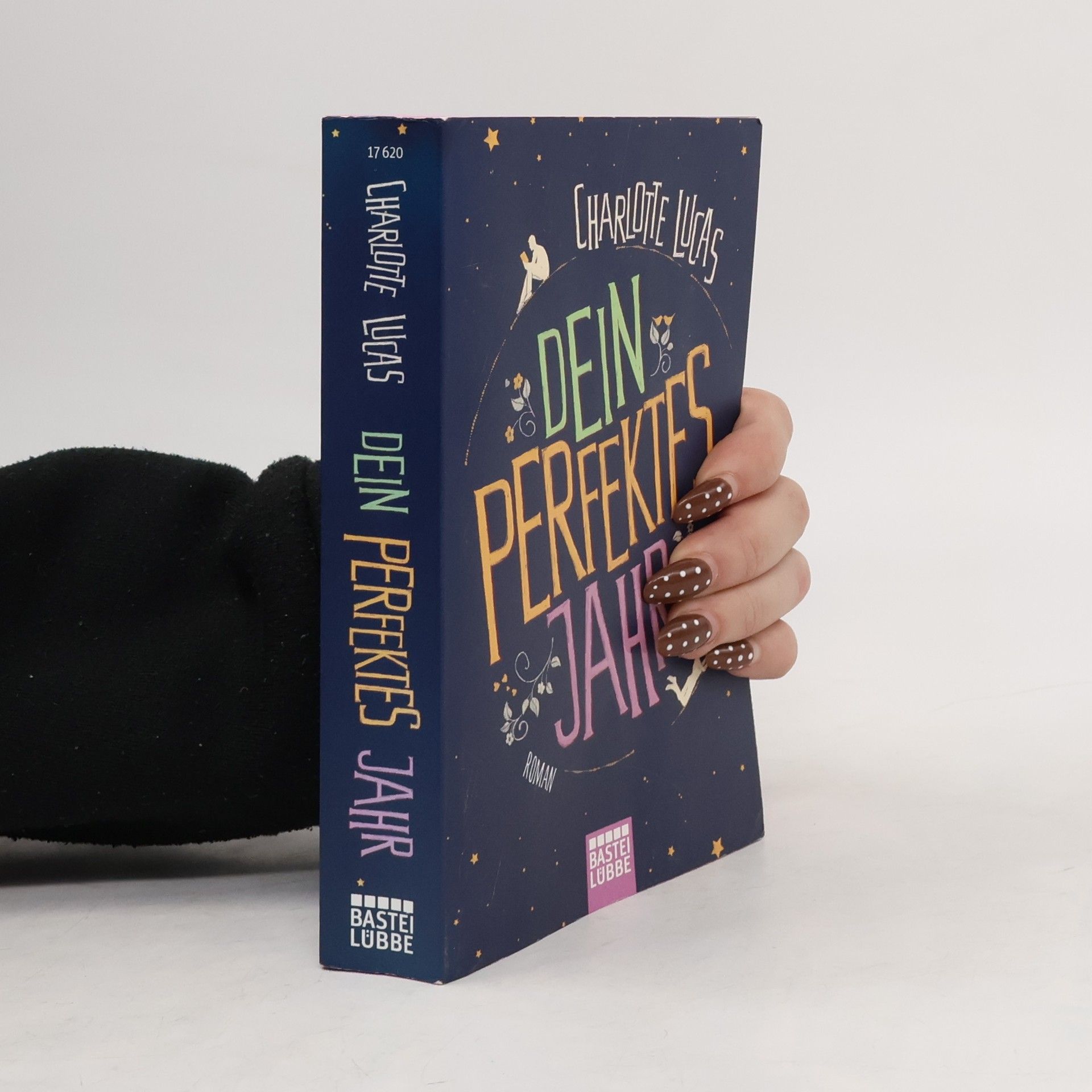 Charlotte Lucas Dein perfektes Jahr