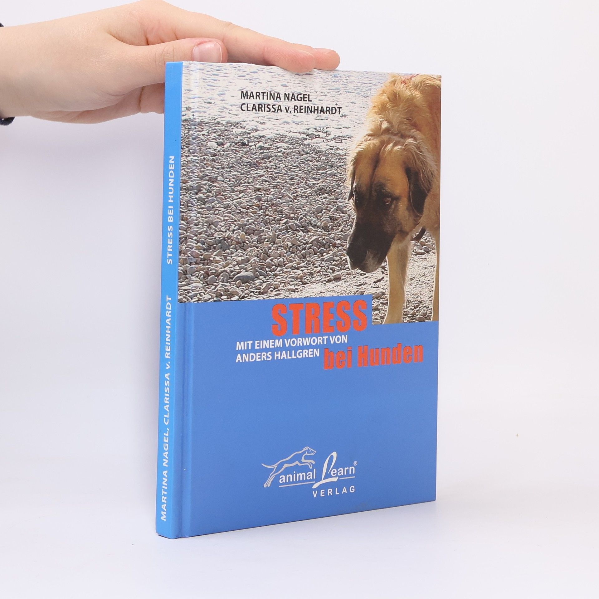 Stress bei Hunden
