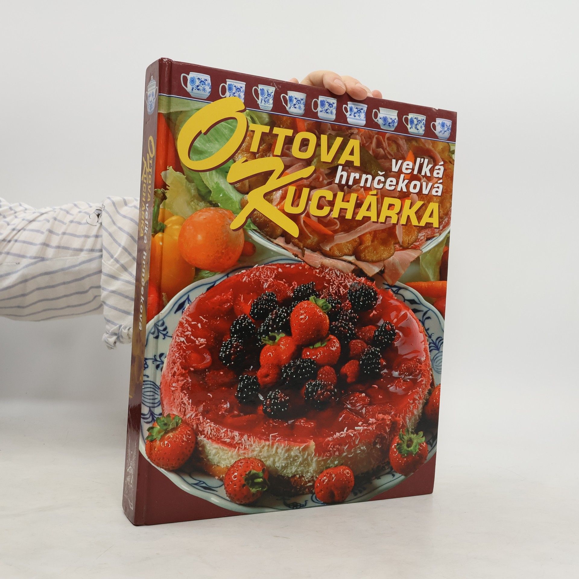 Jaroslav Vašák Ottova veĺká hrnčeková kuchárka