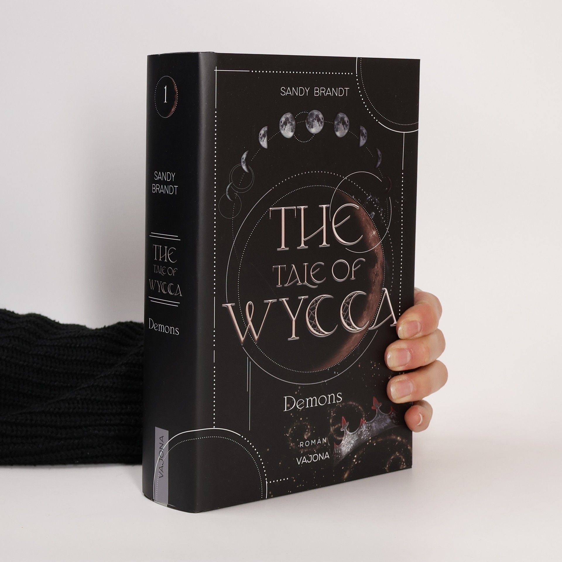 Sandy Brandt THE TALE OF WYCCA: Demons (WYCCA-Reihe 1)
