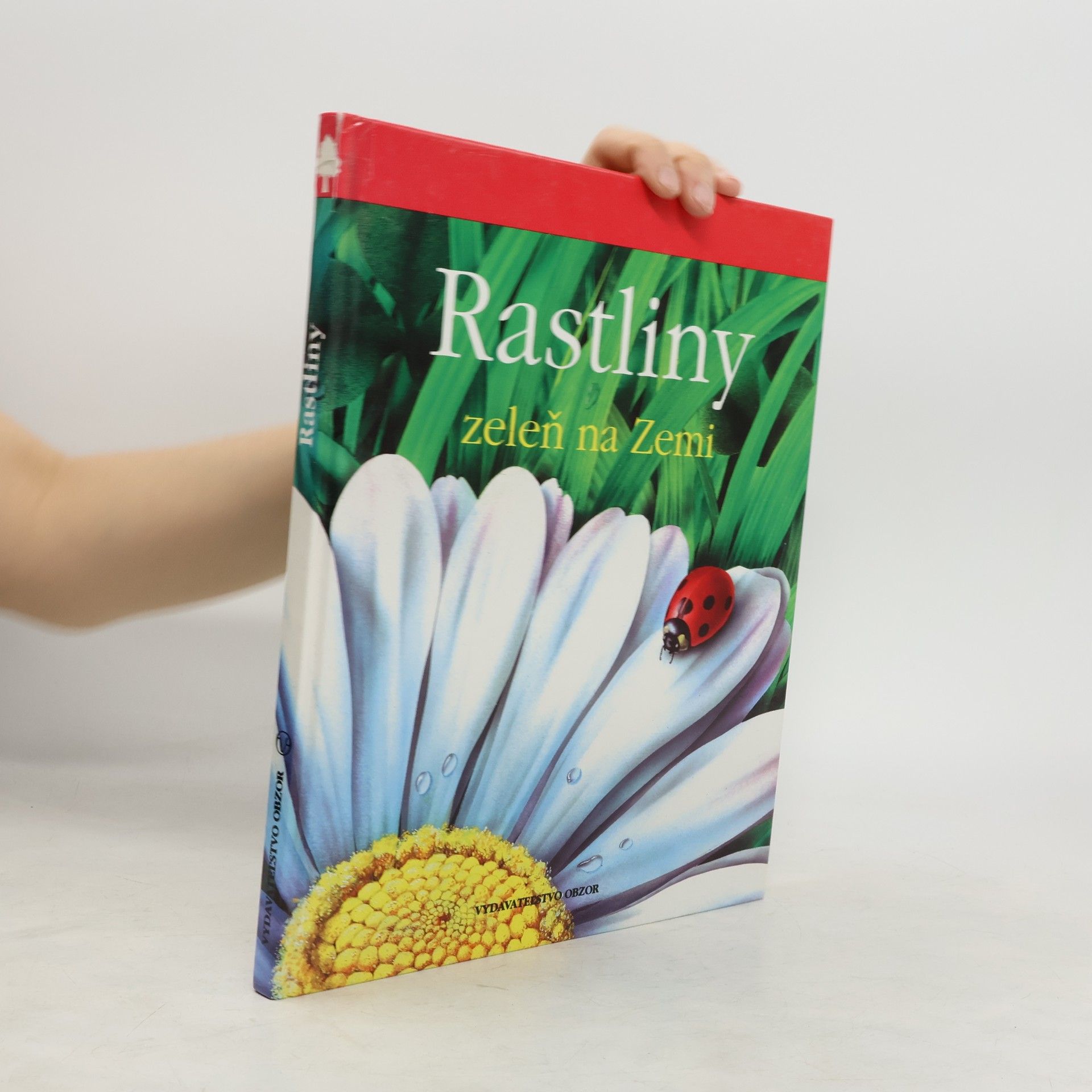 Collectif d'auteurs Rastlinky zeleň na zemi