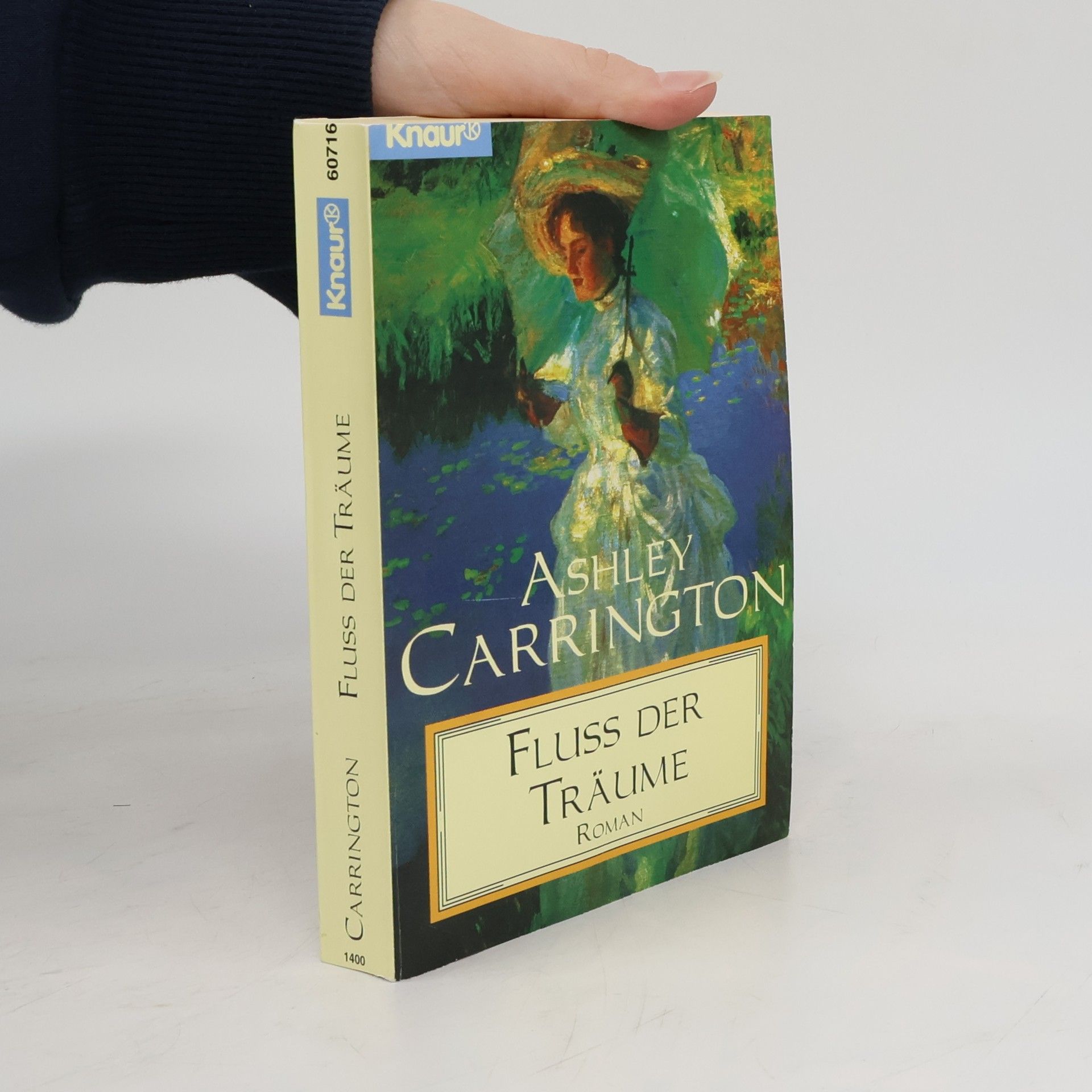 Ashley Carrington Fluss der Träume