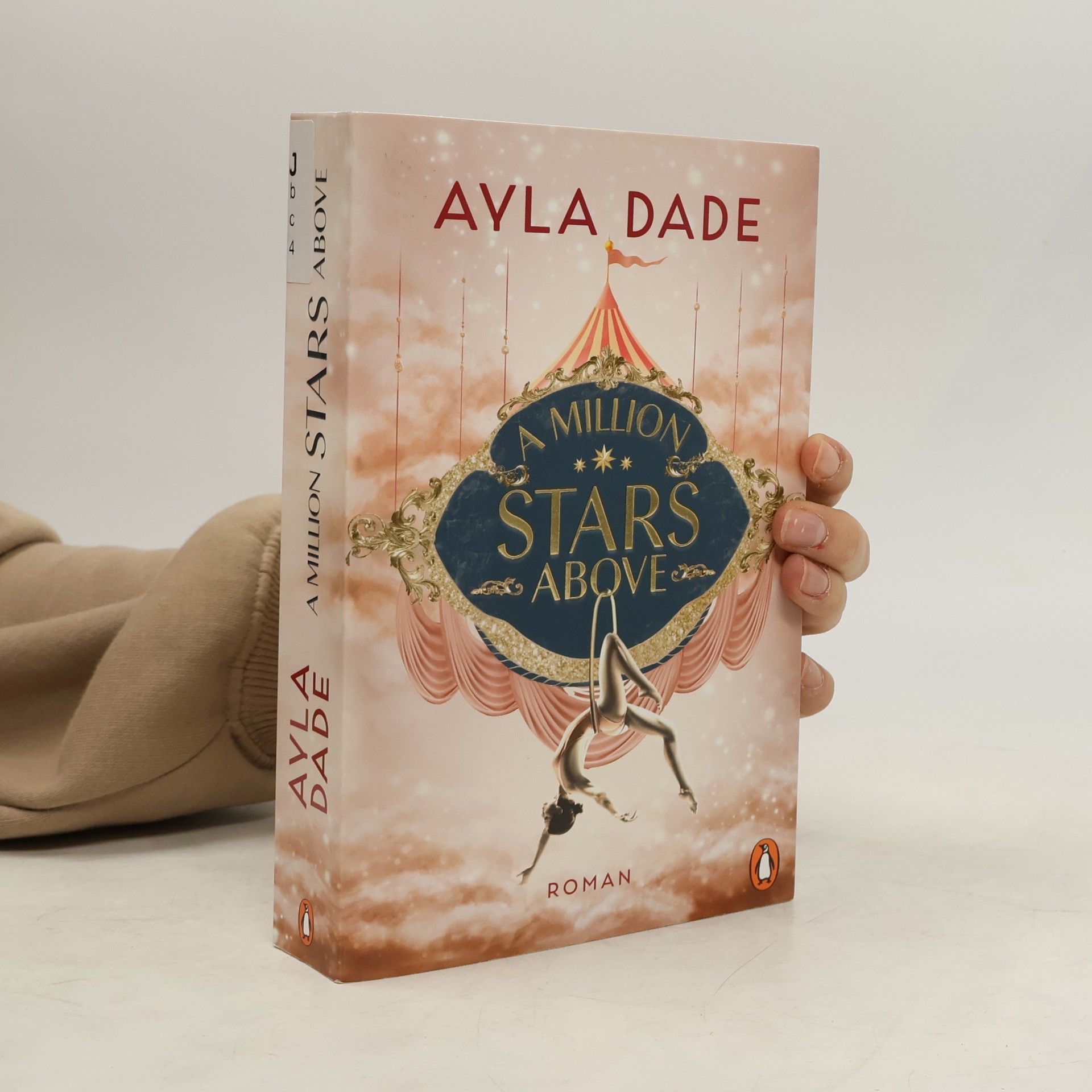 Ayla Dade A Million Stars Above / Sky Circus Bd.1