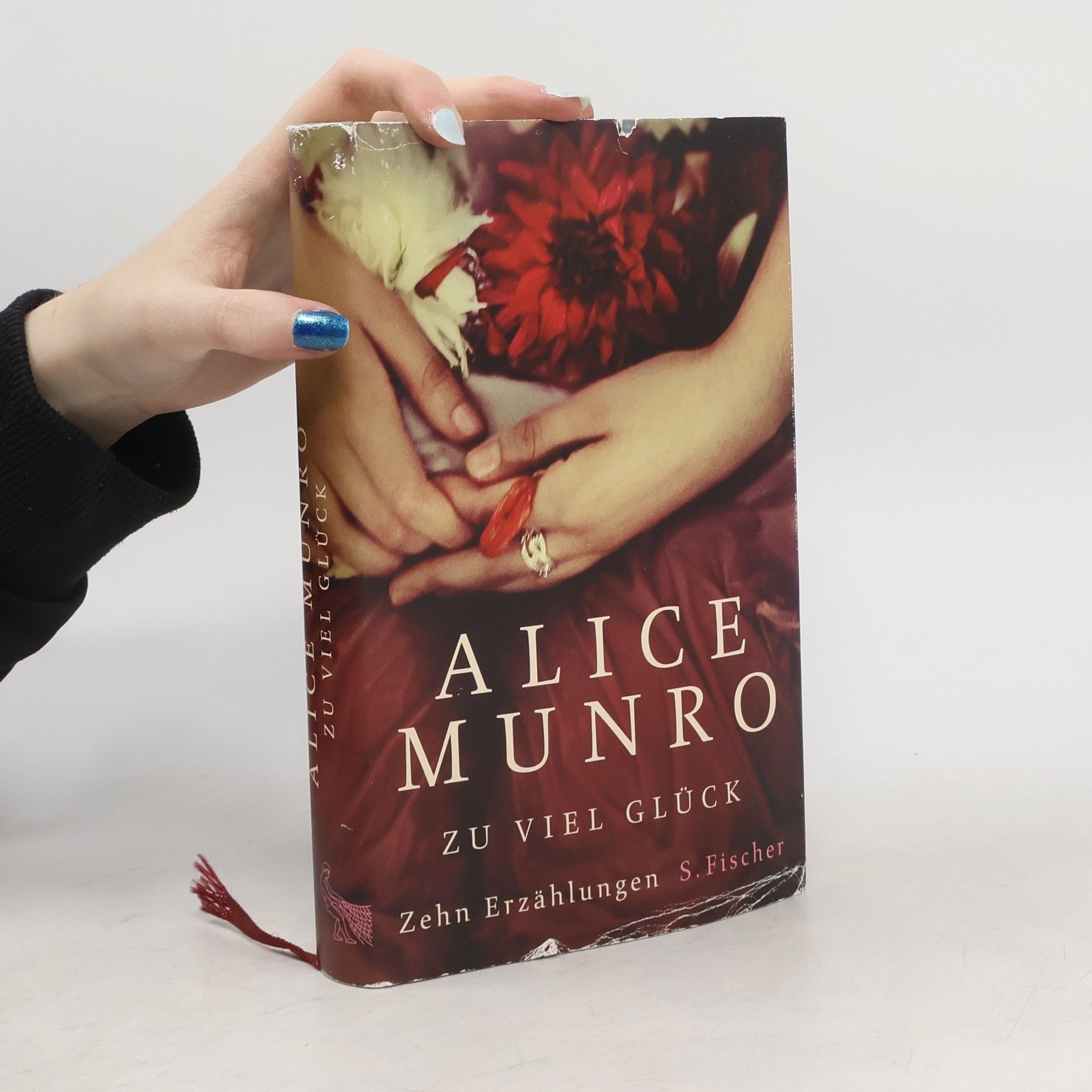 Alice Munro Zu viel Glück