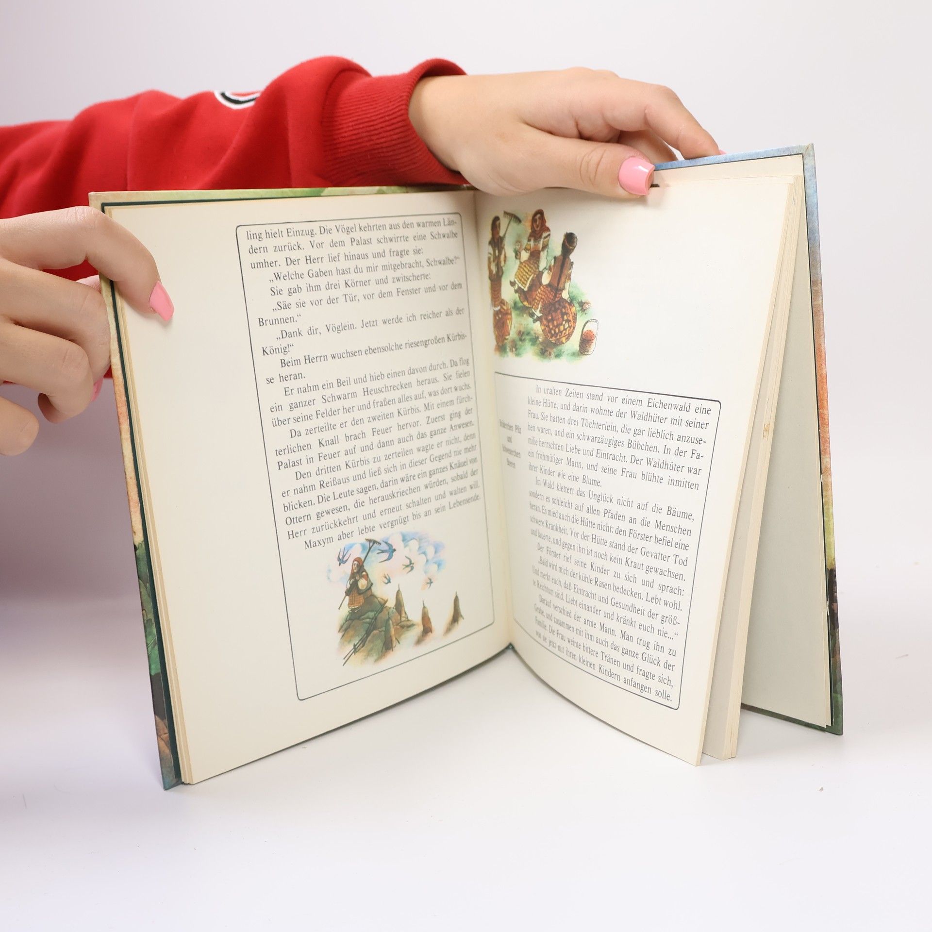 Autorenkollektiv Das Wunder des Steinberges