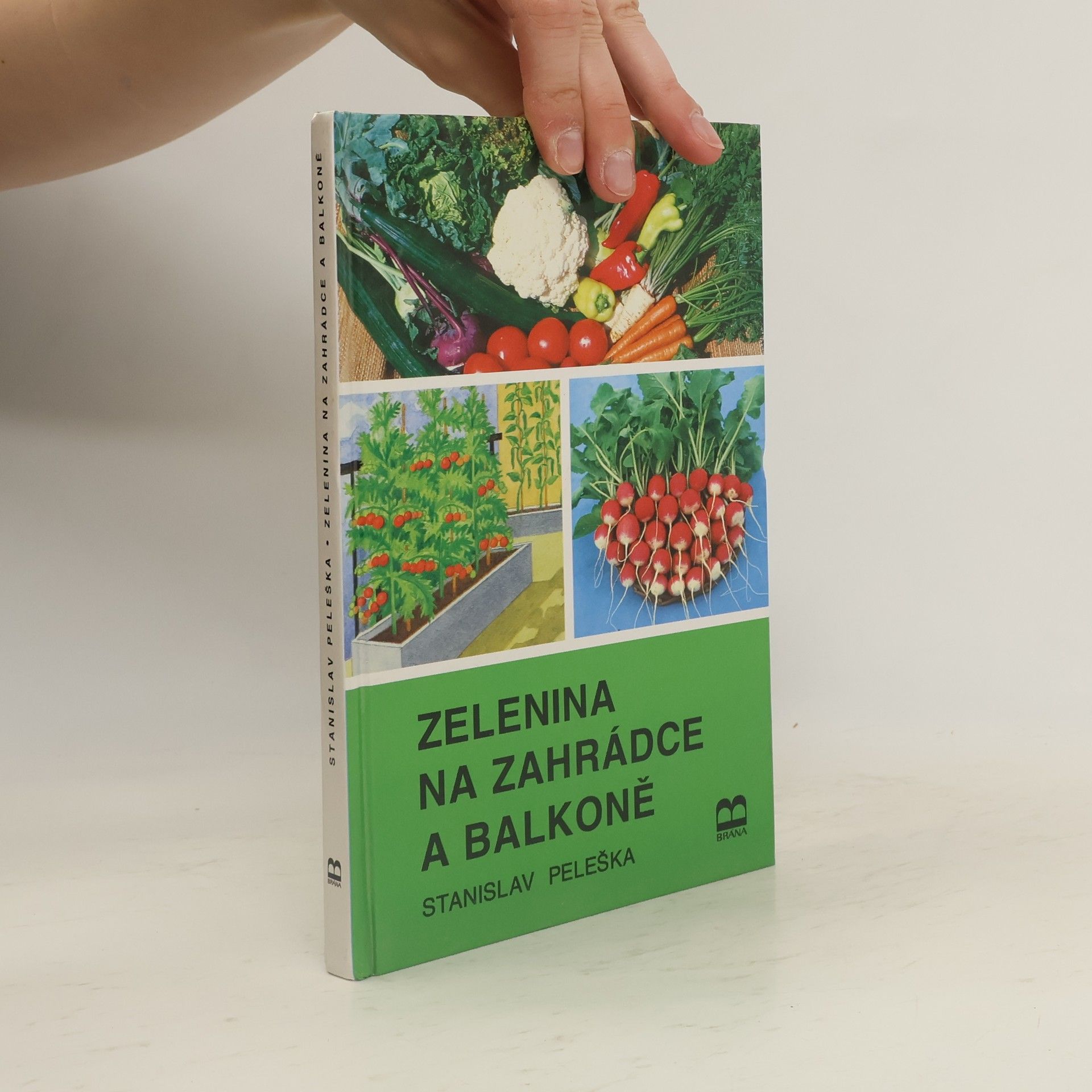 Stanislav Peleška Zelenina na zahrádce a balkoně