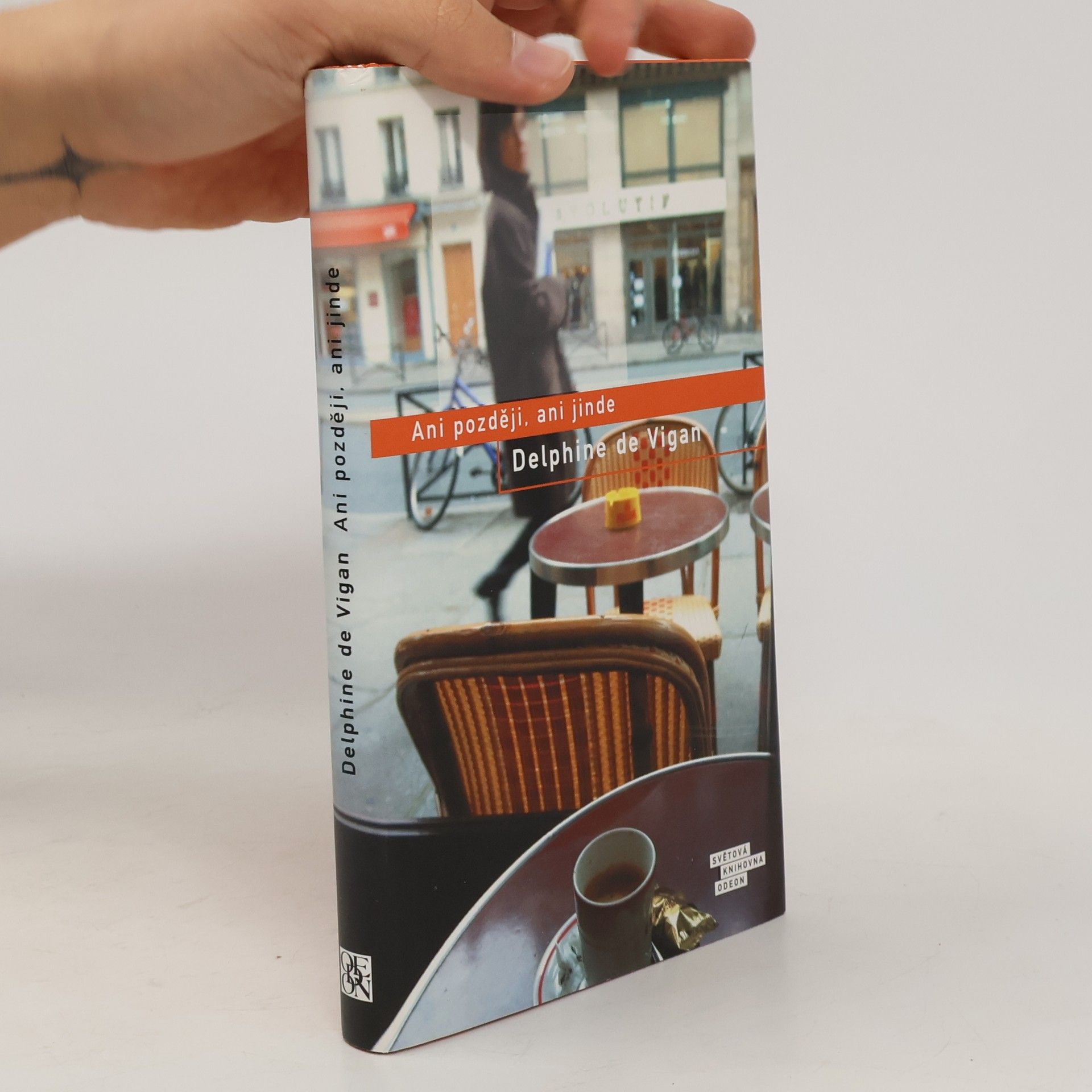 Delphine de Vigan Ani později, ani jinde