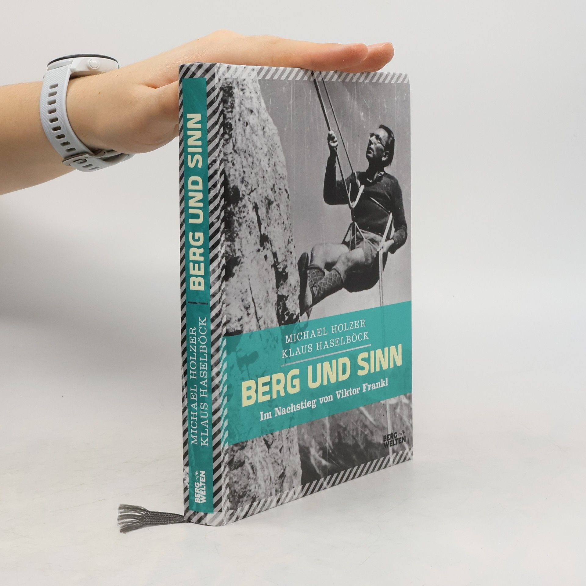 Michael Holzer Berg und Sinn