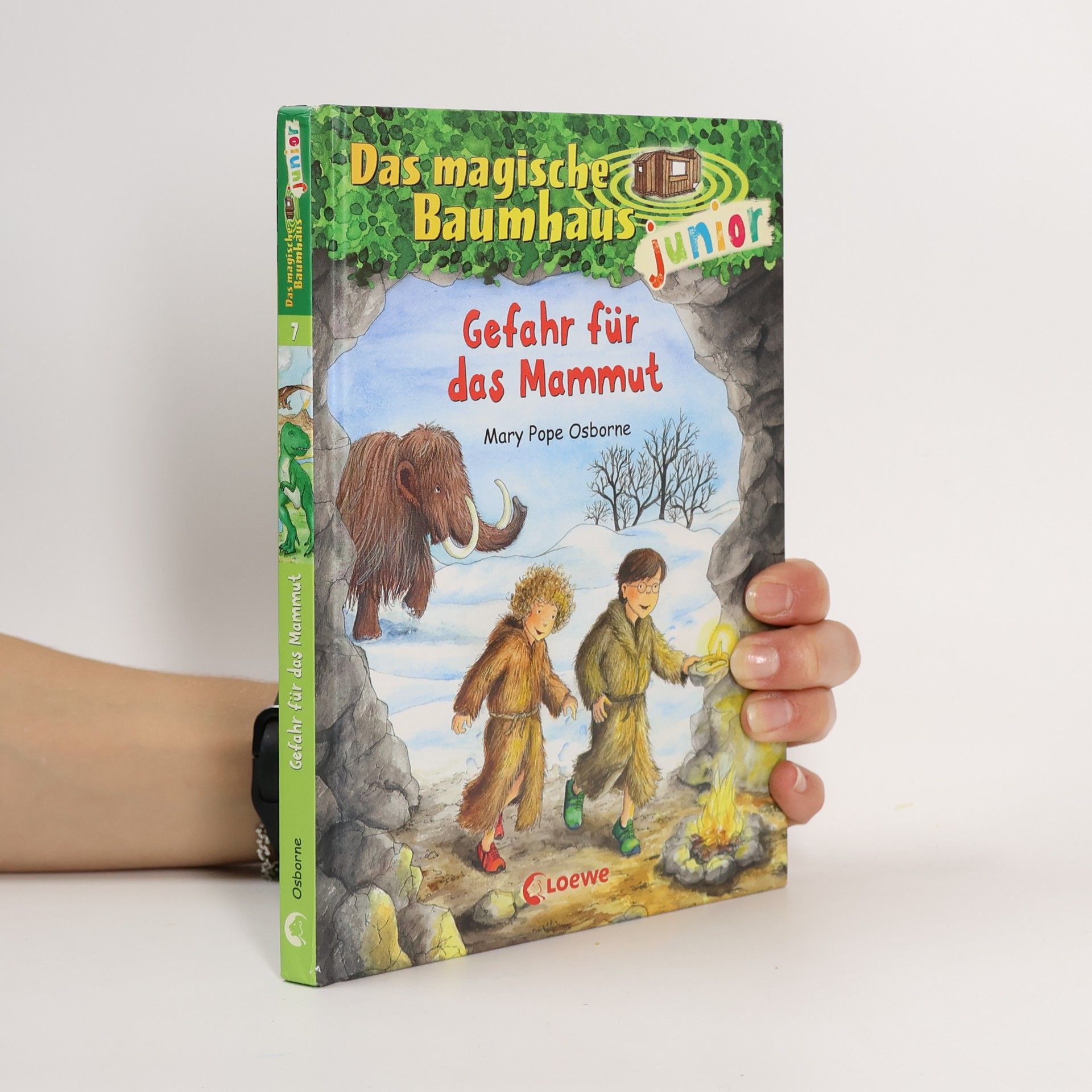 Mary Pope Osborne Gefahr für das Mammut