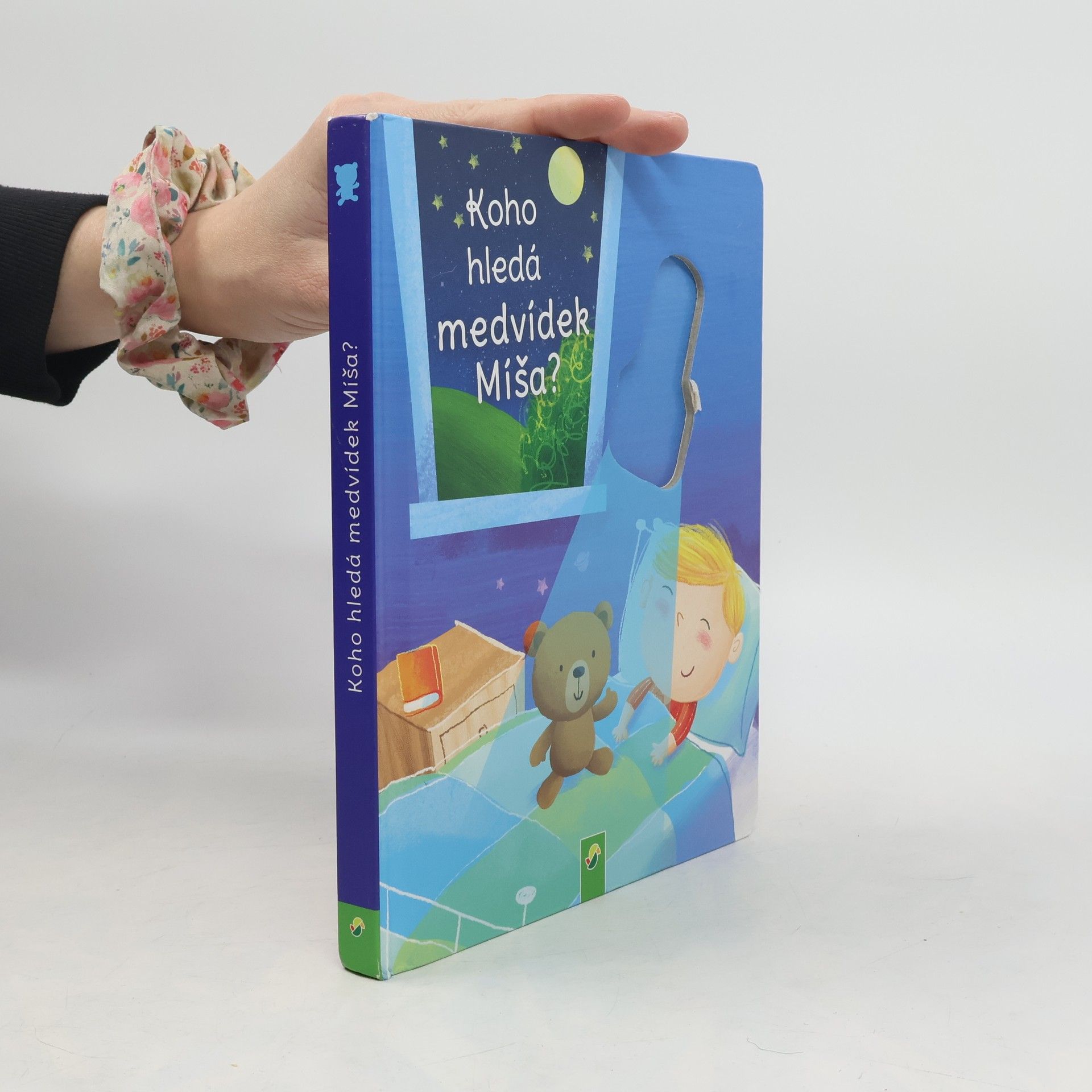 Koho hledá medvídek Míša?