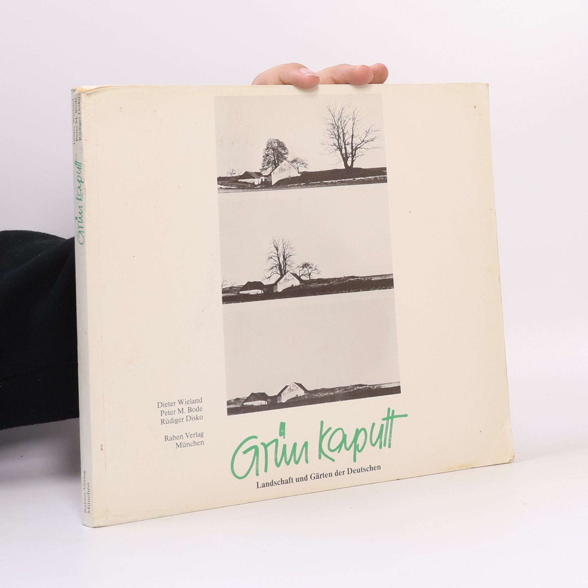 Dieter Wieland Grün kaputt