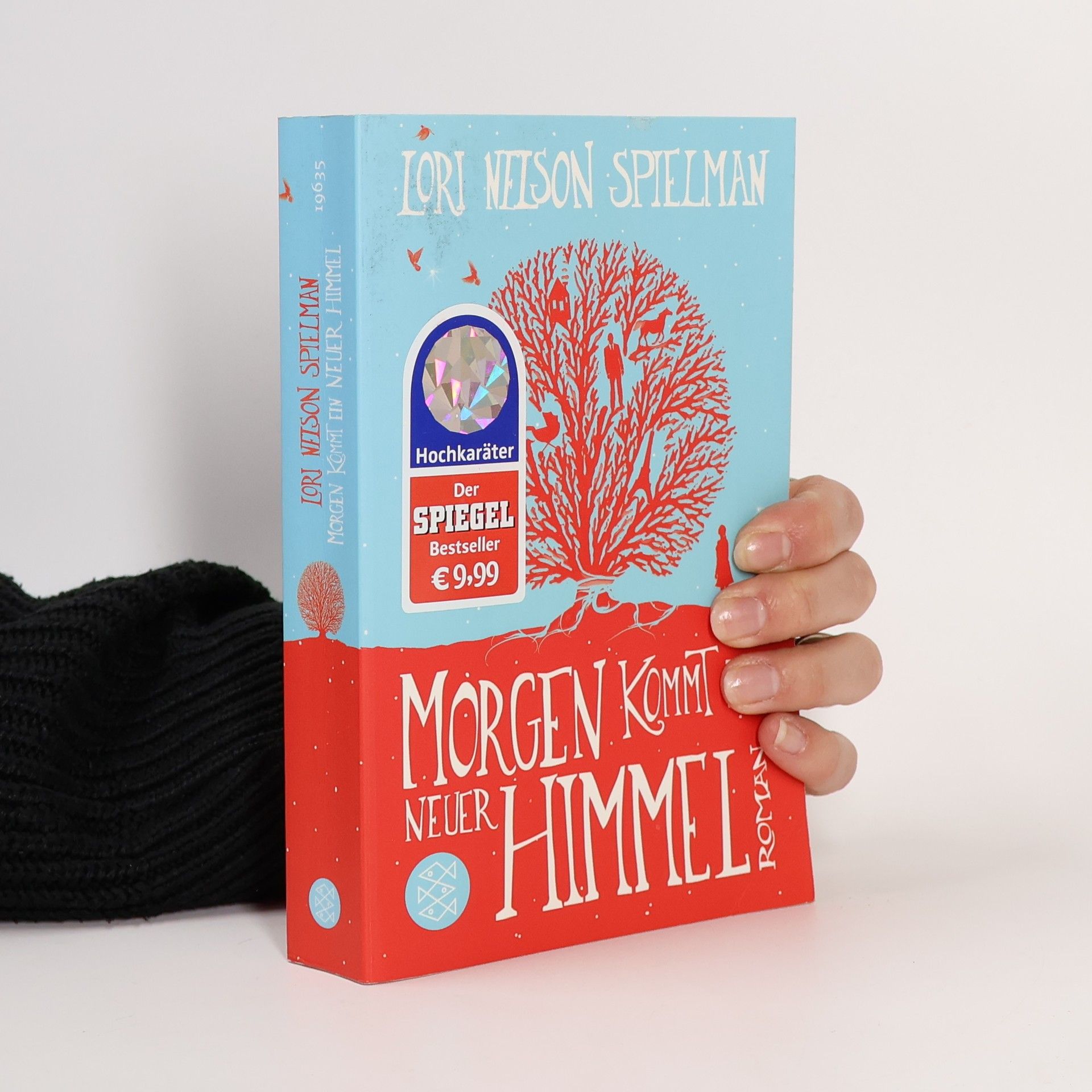 Lori Nelson Spielman Morgen kommt ein neuer Himmel