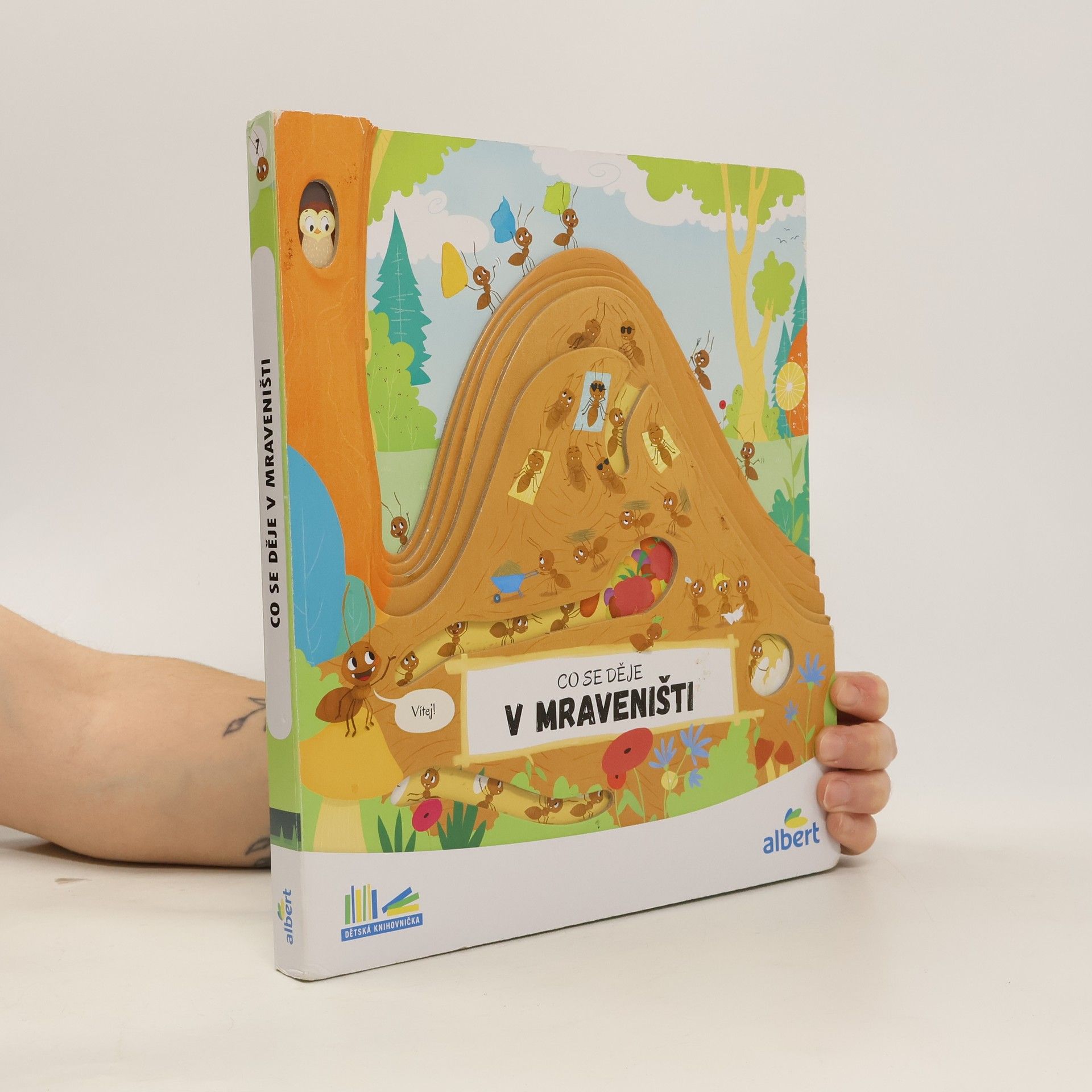 Kolektiv autorů Co se děje v mraveništi